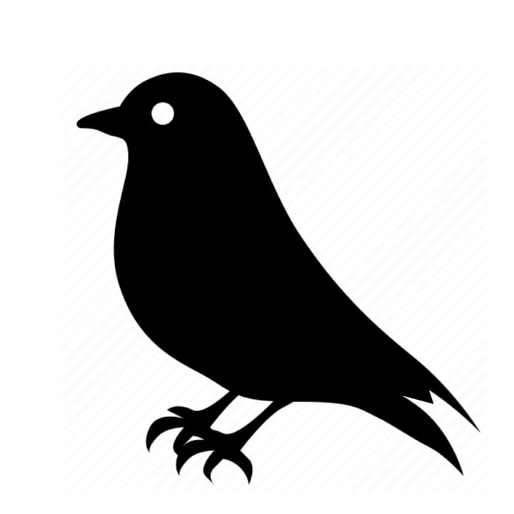Omslag för Quiz