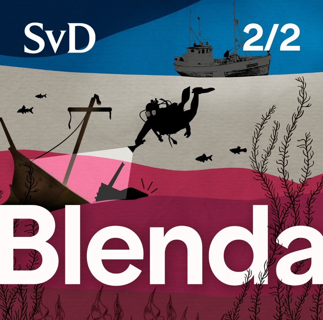 Omslag för De dömda vrakdykarna