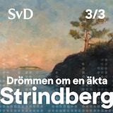 Drömmen om en äkta Strindberg del 3/3
