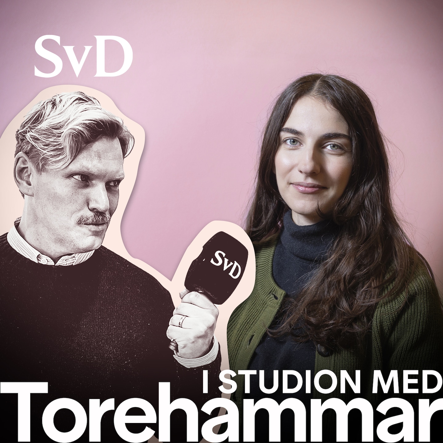 Miljö- och klimatminister Romina Pourmokhtari i studion med Torehammar episode artwork