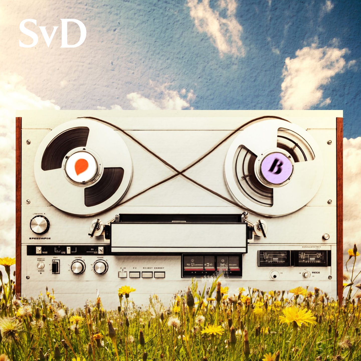Missnöjet kokar: ”Det är en sjuk marknad” episode artwork