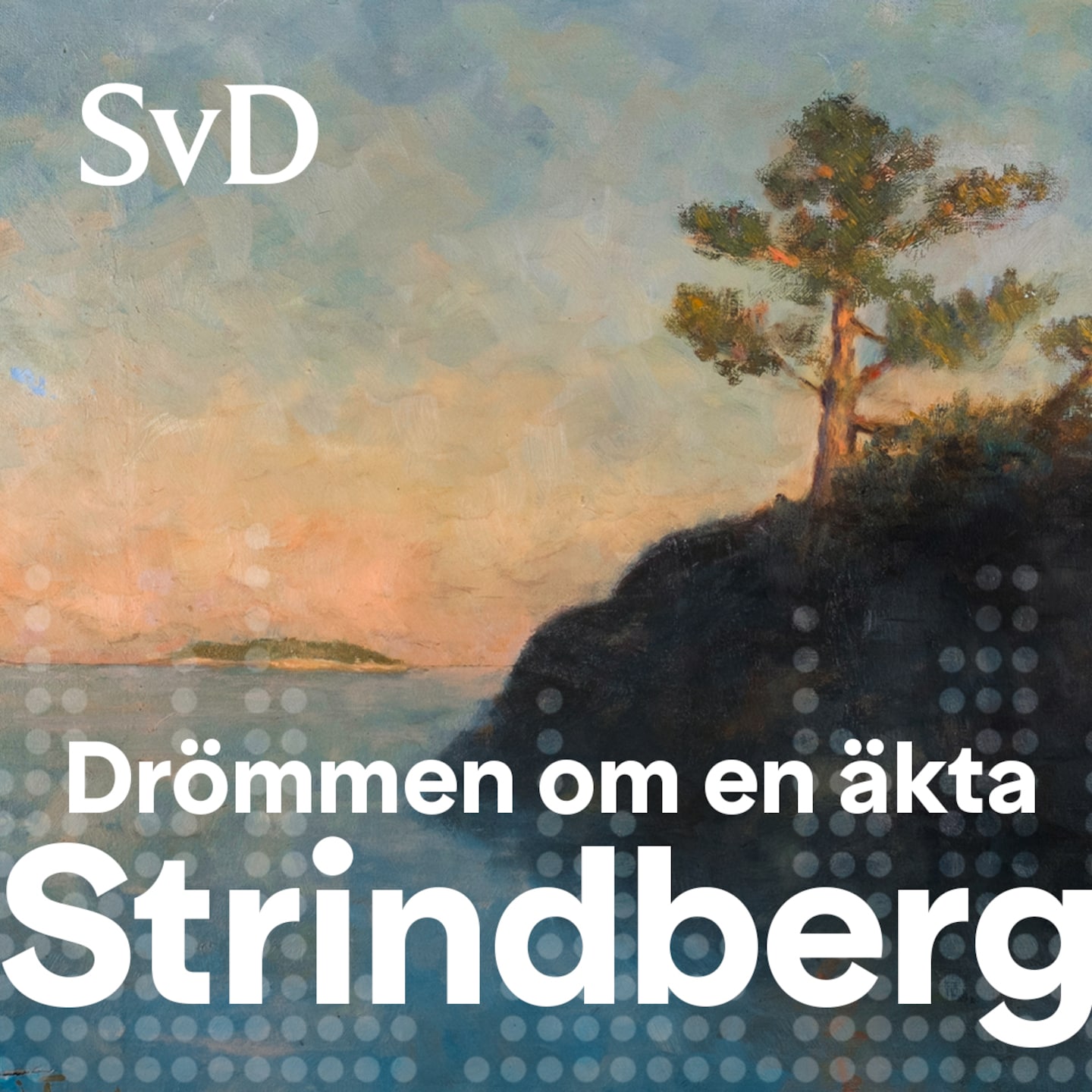 SvD Dagens story
