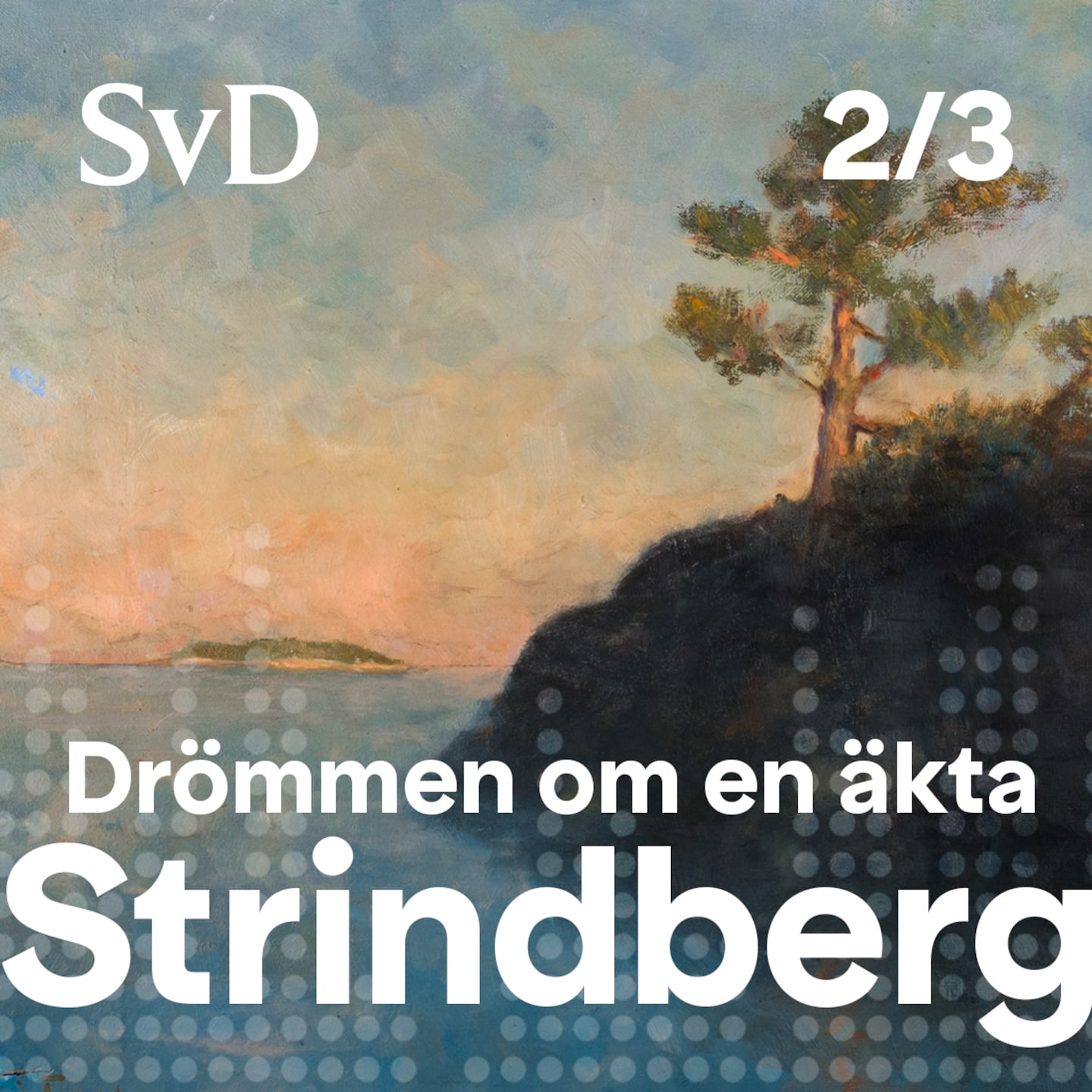SvD Dokumentära berättelser