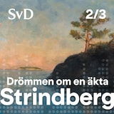 Drömmen om en äkta Strindberg del 2/3