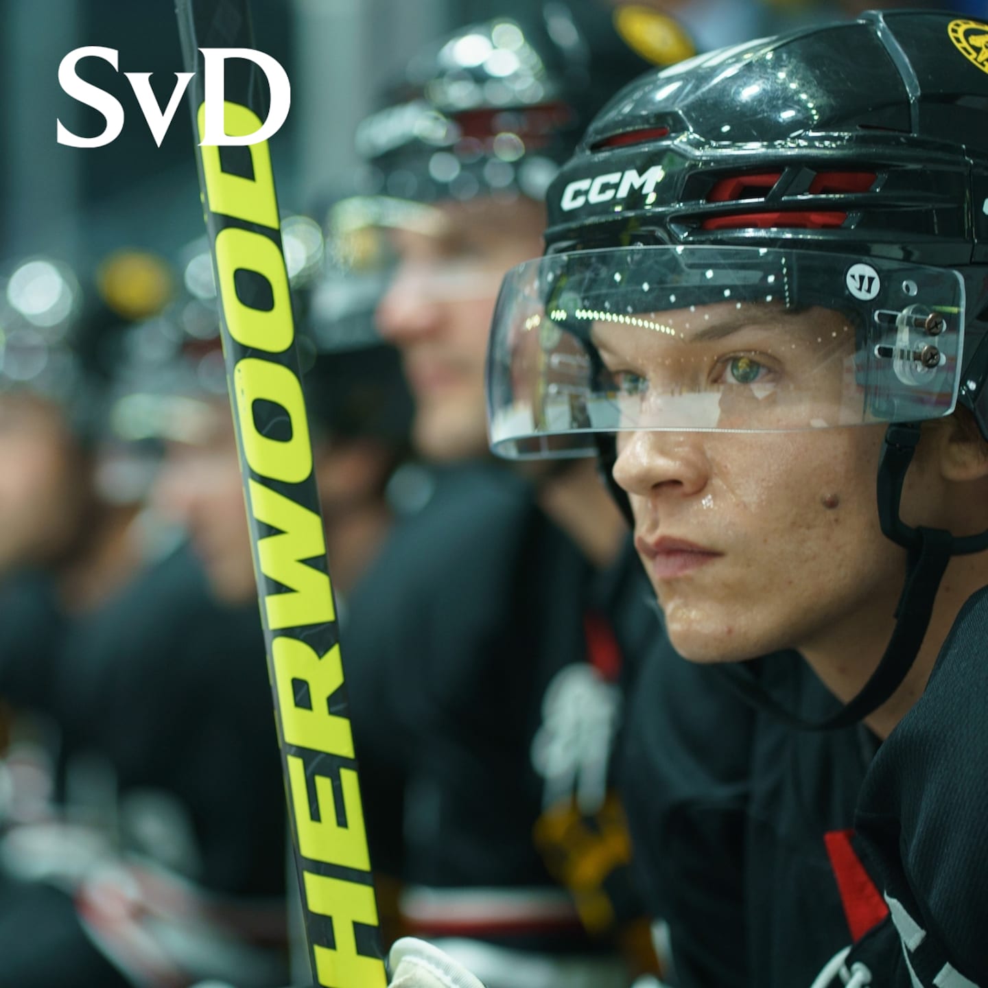 TRAILER: Heated Rivalry – följeslagarpodden TRAILER: Heated Rivalry – följeslagarpodden