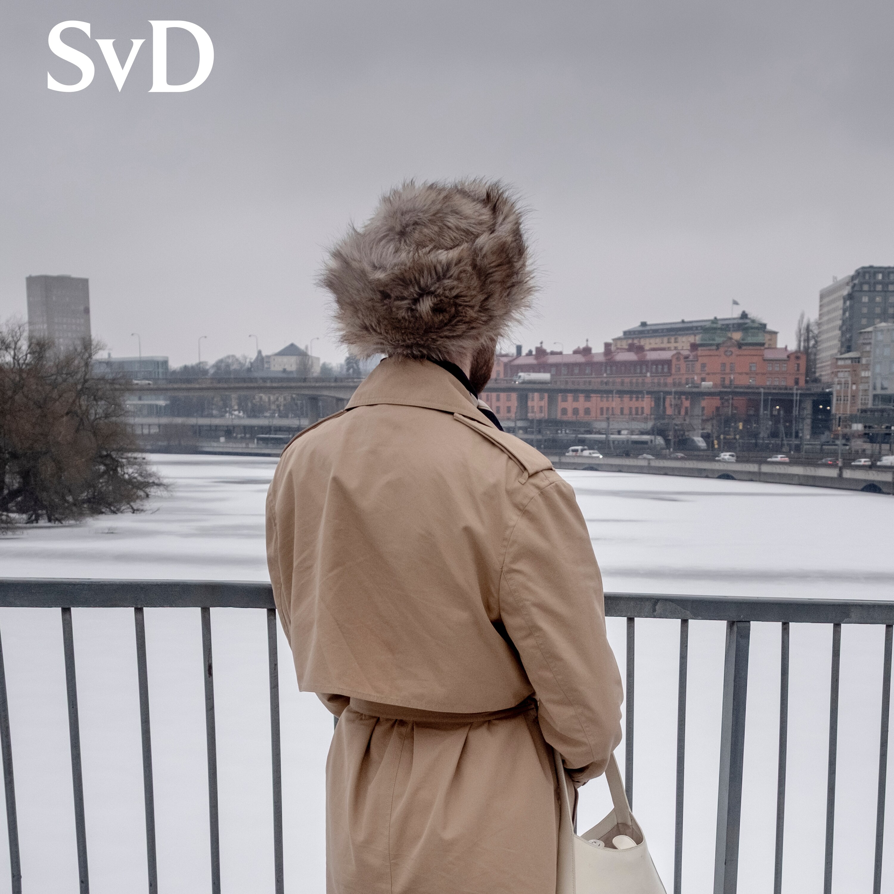 Omslag för Det osynliga våldet