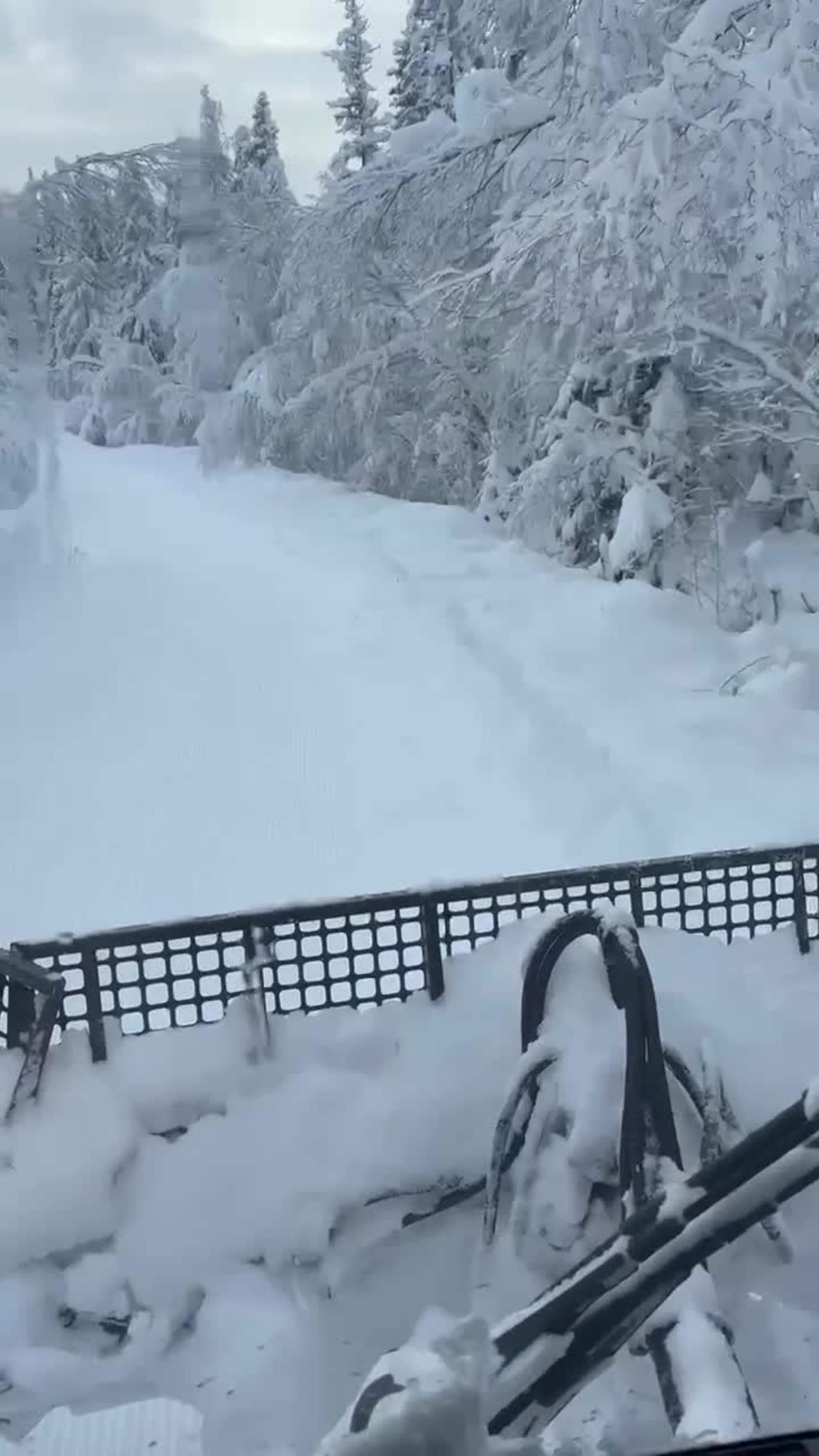 Kjører skispor på Kregneskjølen