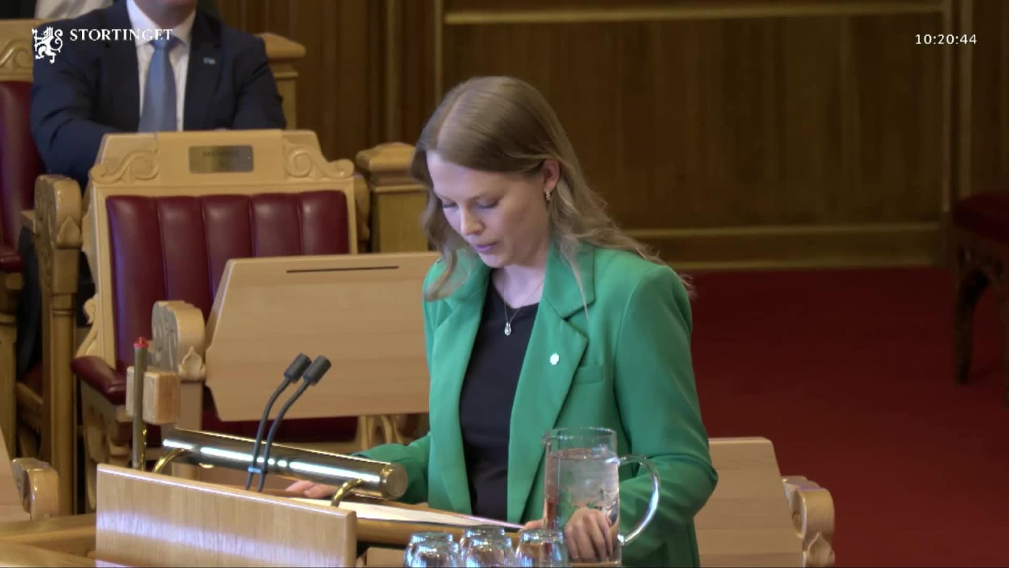 Gimsøya tema på Stortinget