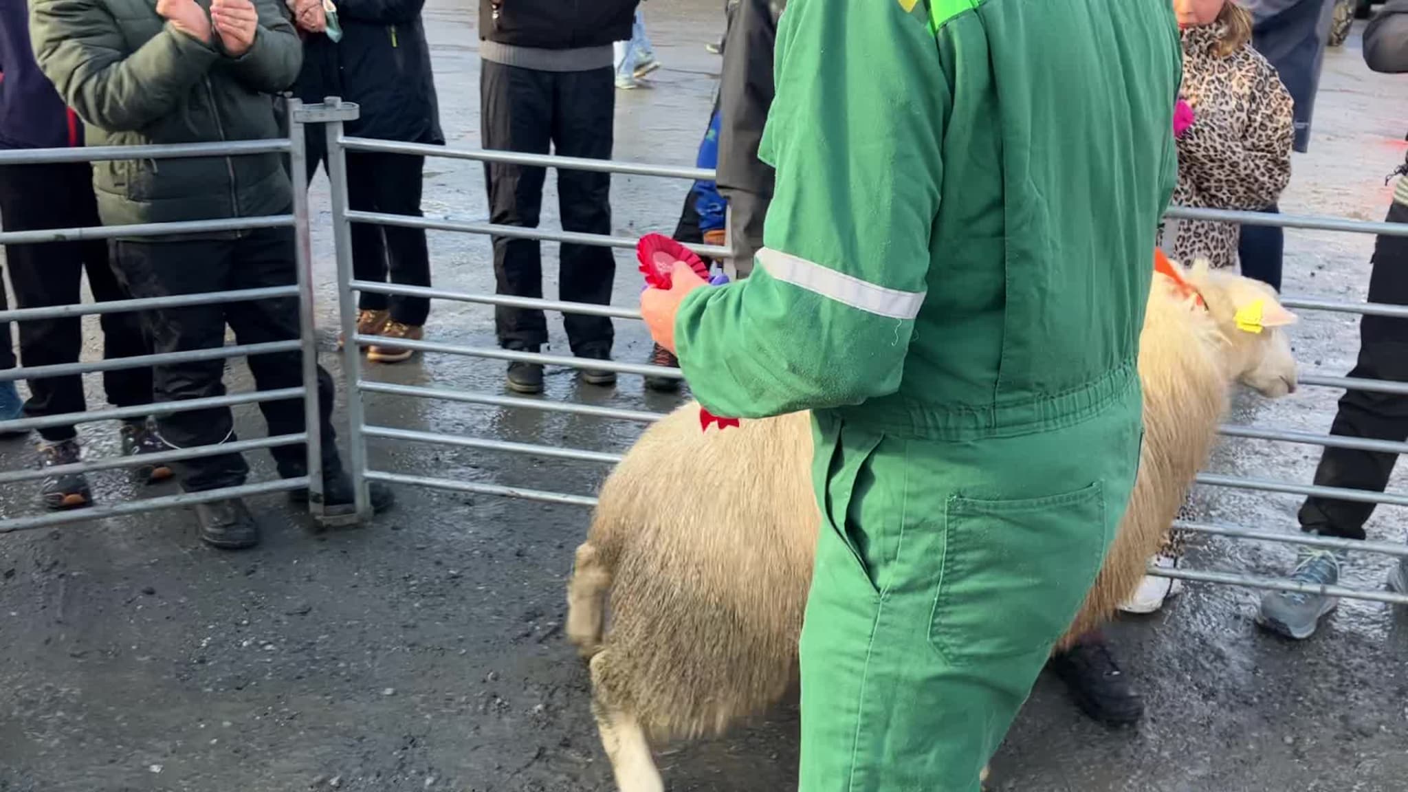 Bygdadag og missekåring