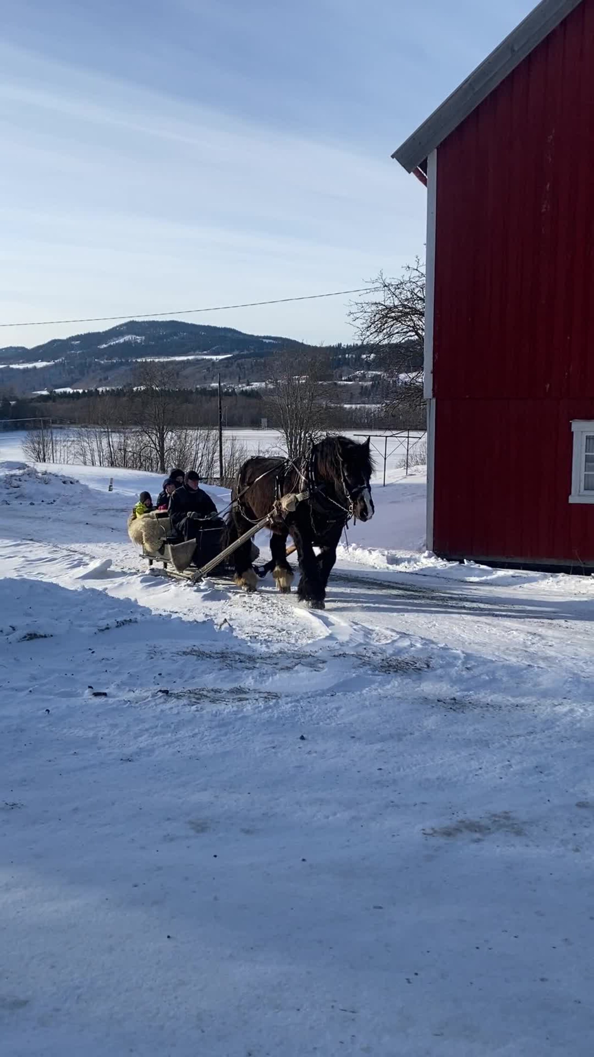 Kanefart ved prestegårdslåven