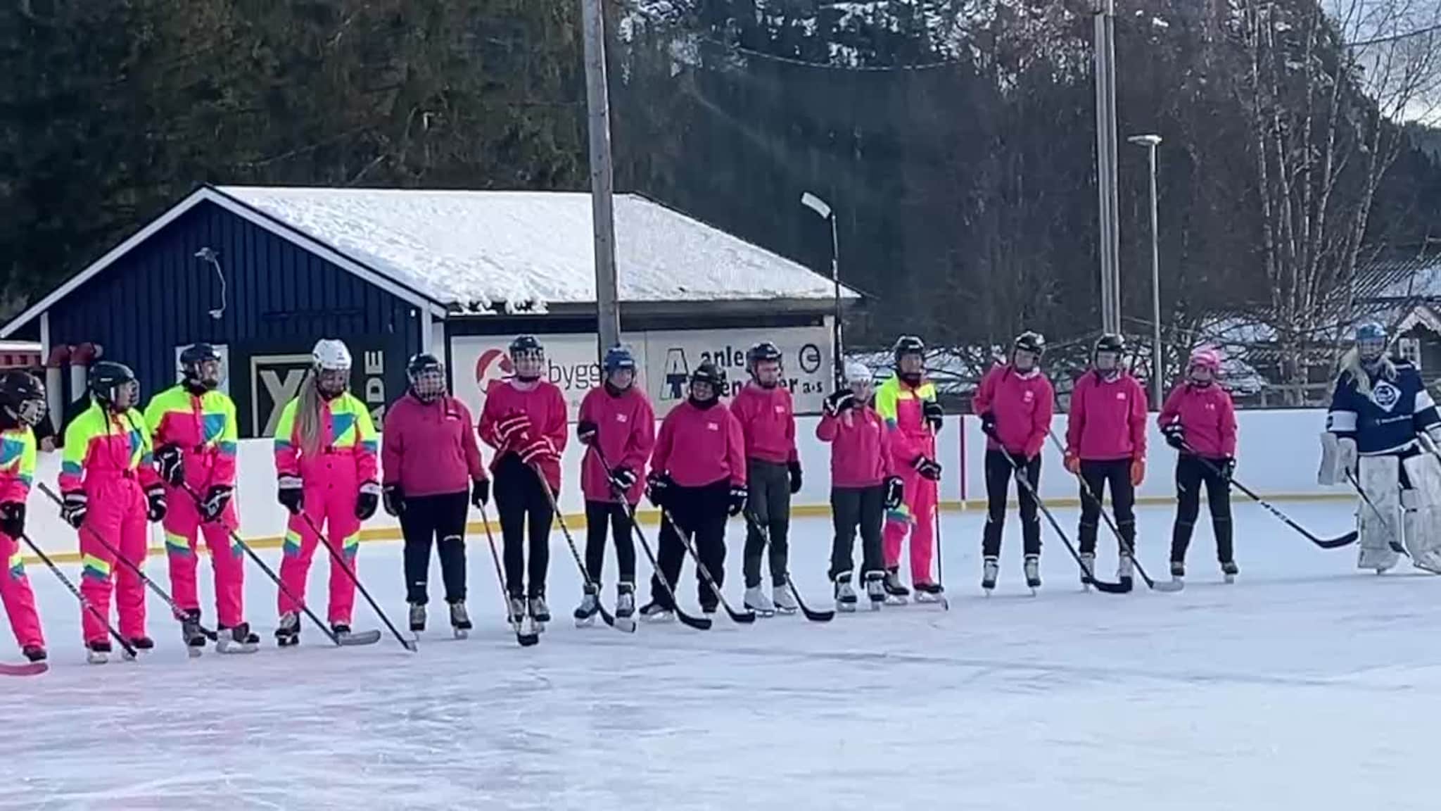 Pink Ladies og Leik Oldboys