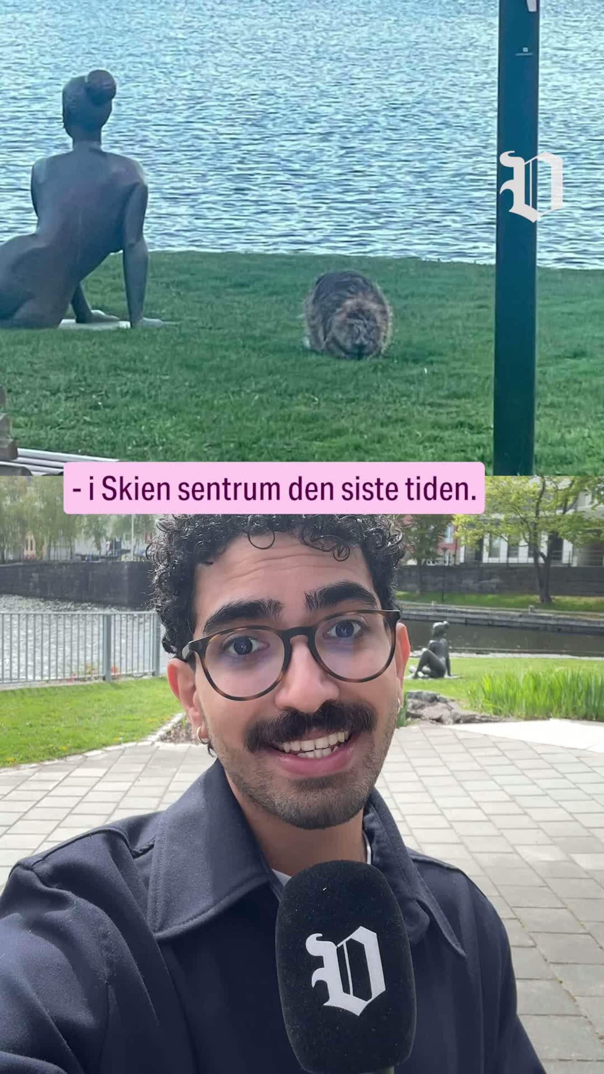Se hvem som tok seg en bytur: – Uvanlig
