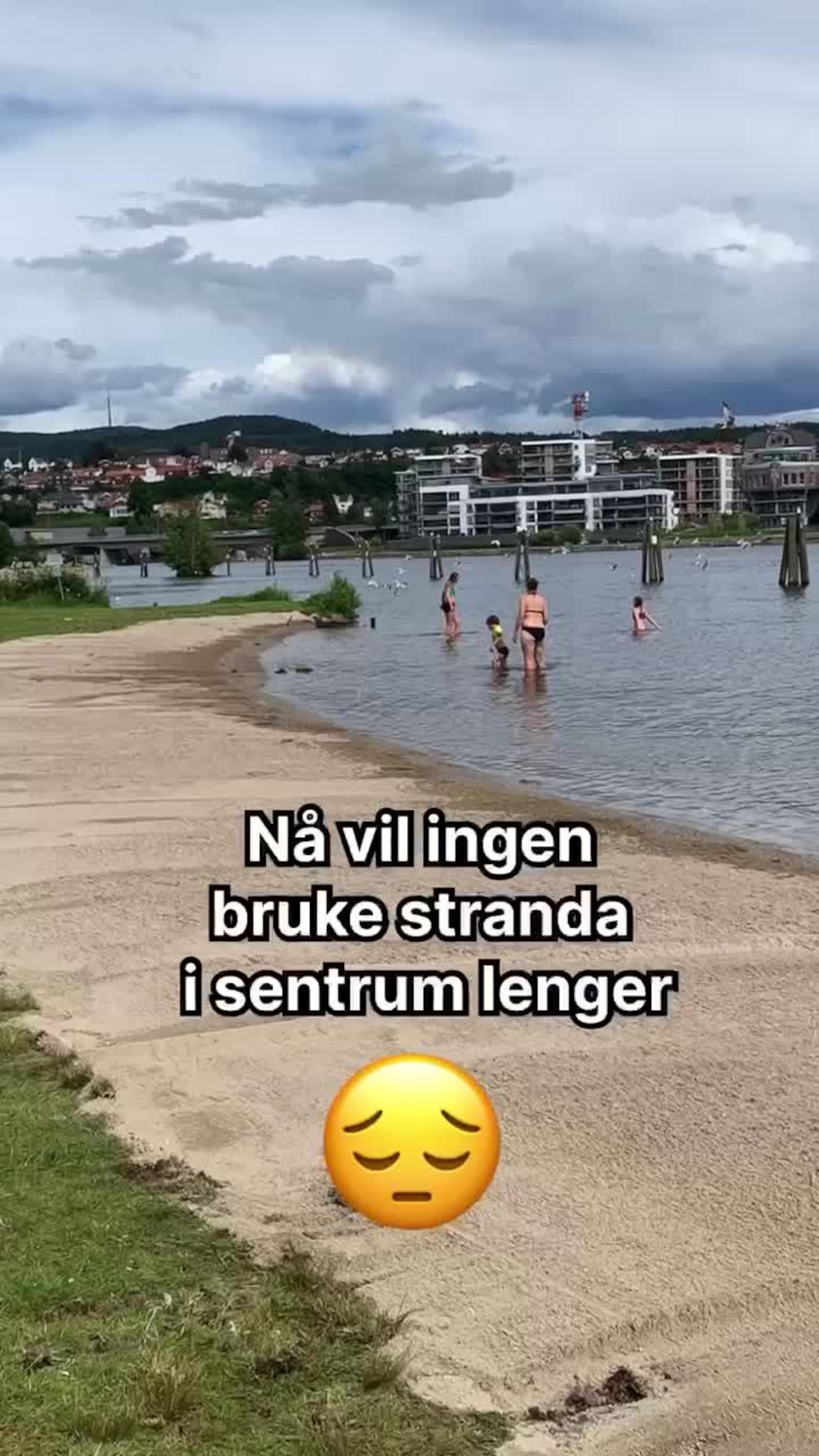 Kanadagjess har tatt over bystranda