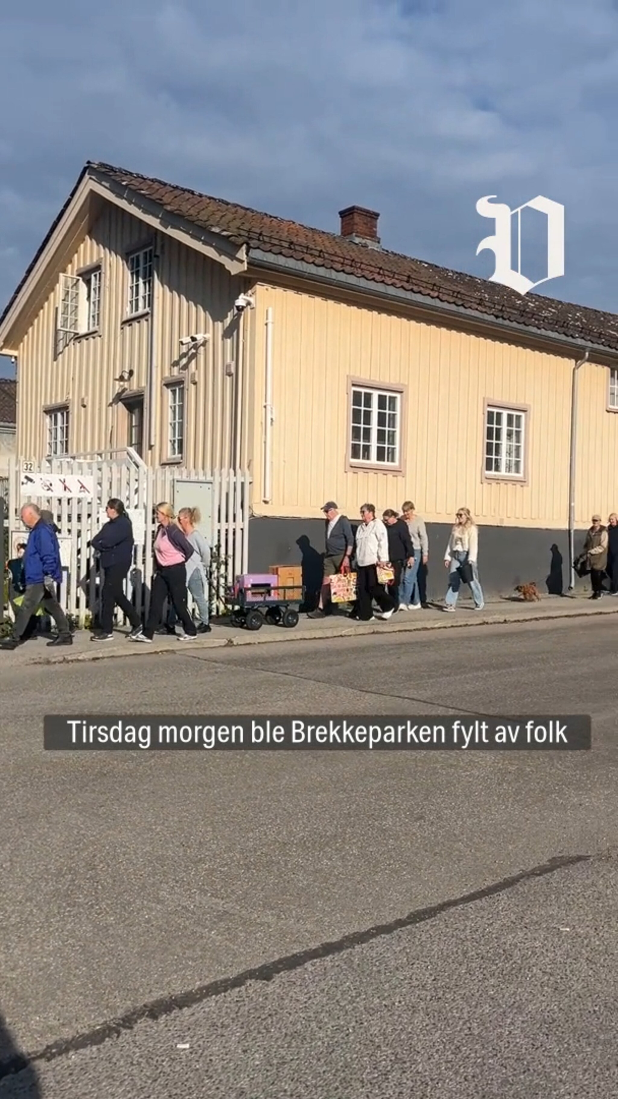Tulipanplukking i Brekkeparken