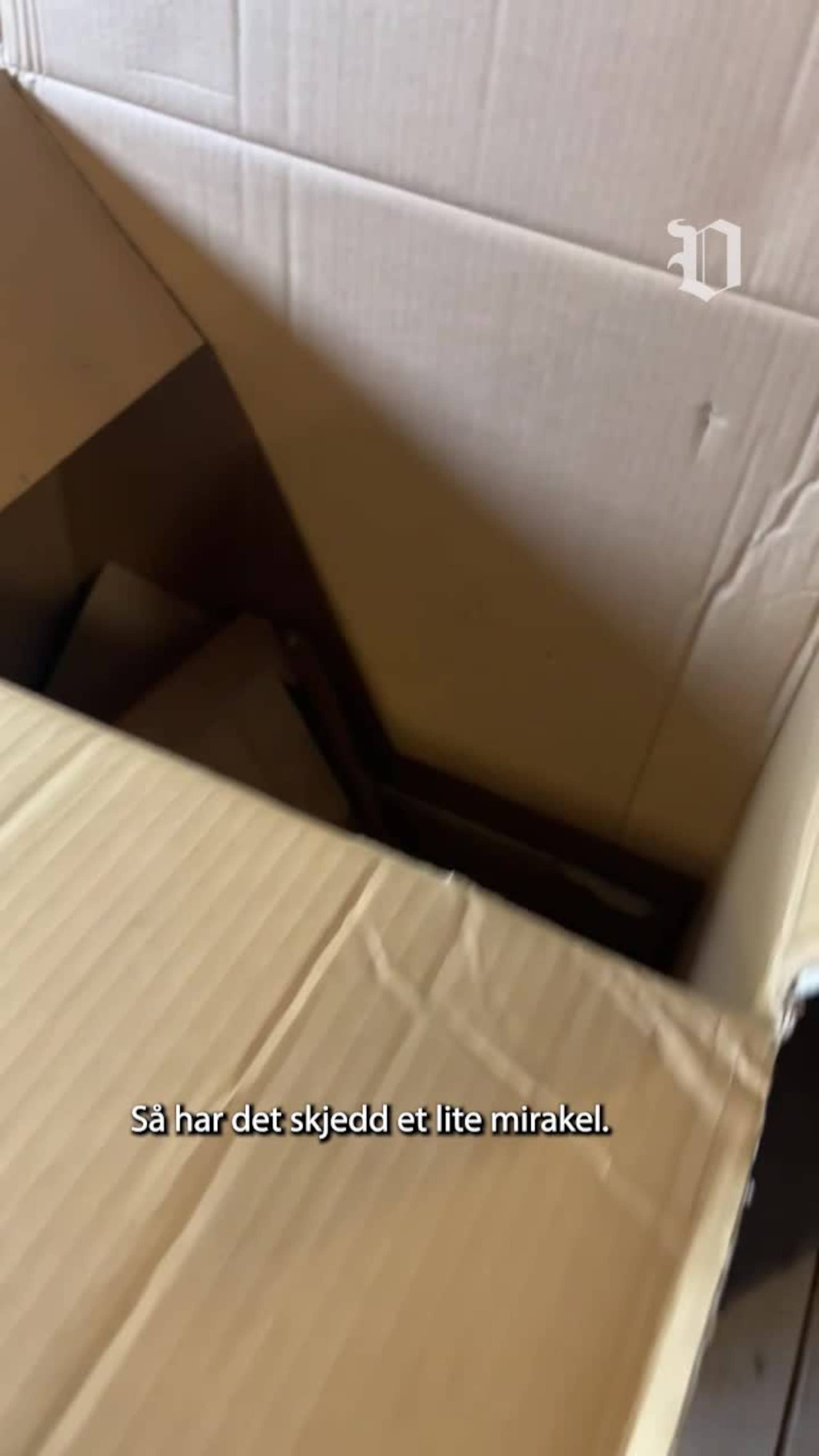 Her har det skjedd et lite mirakel