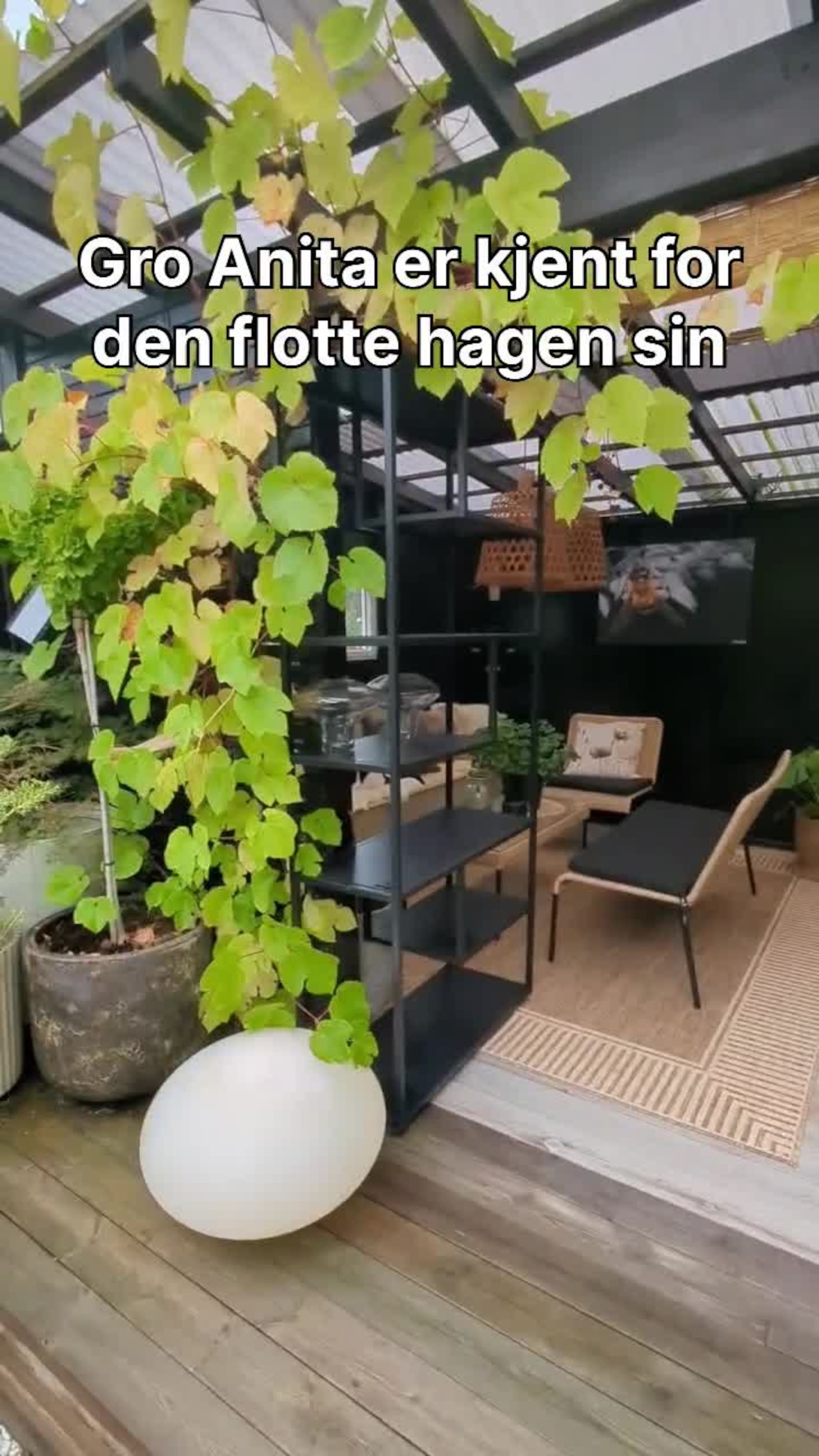 Selger huset med den flotte hagen