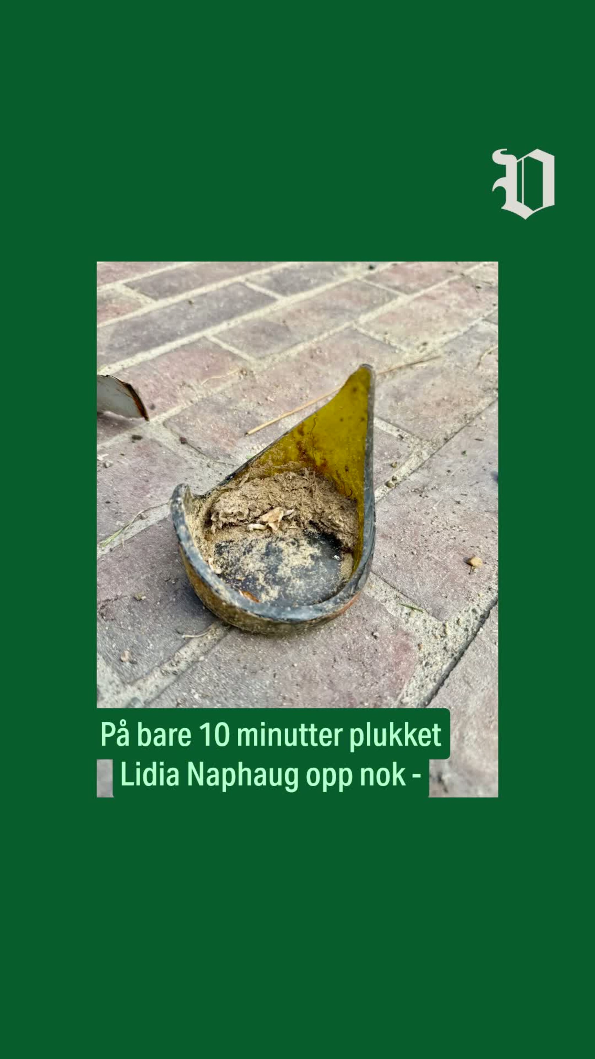 Frykter flere barn skal skade seg