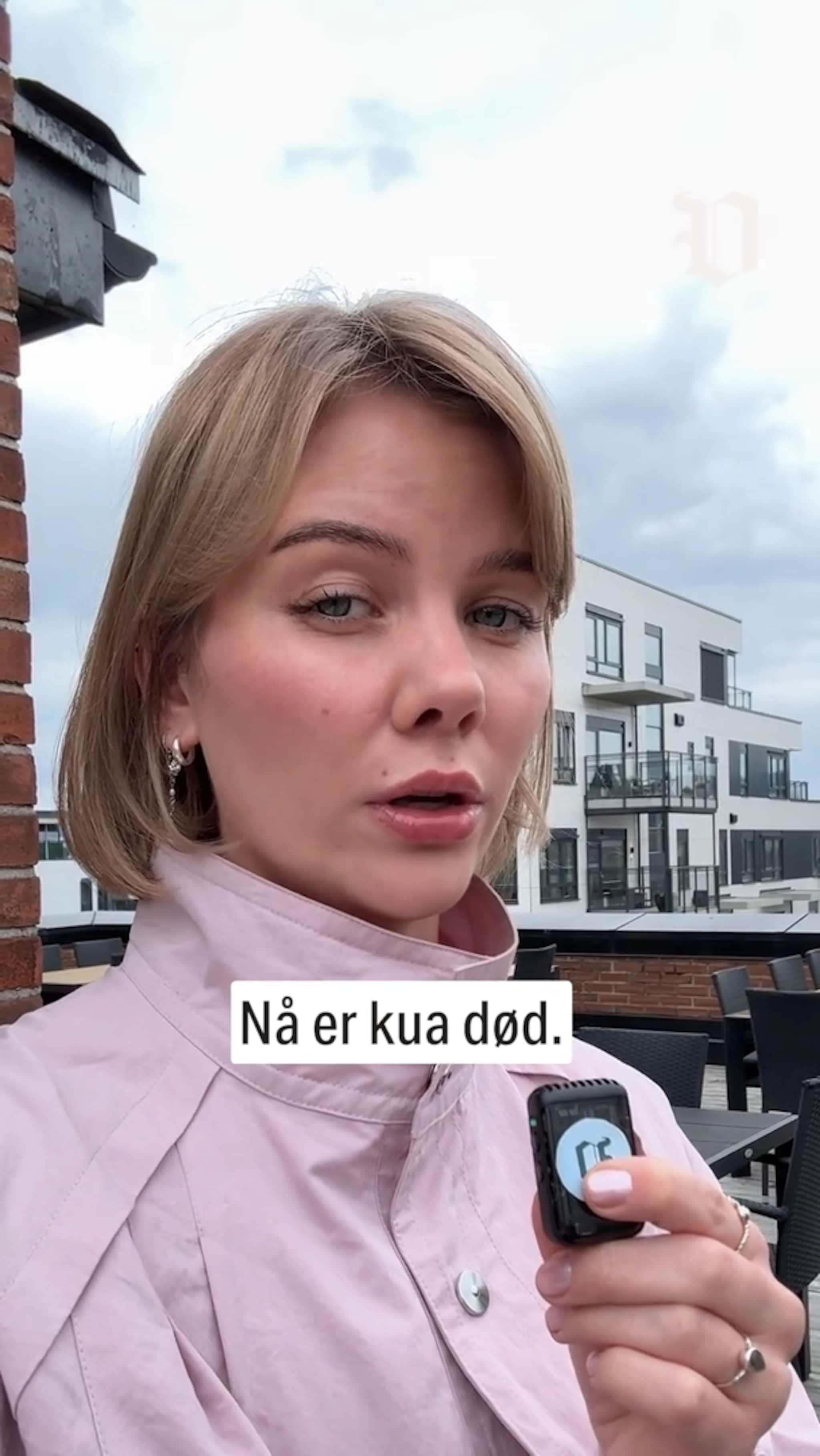 Ku forvillet seg på E18