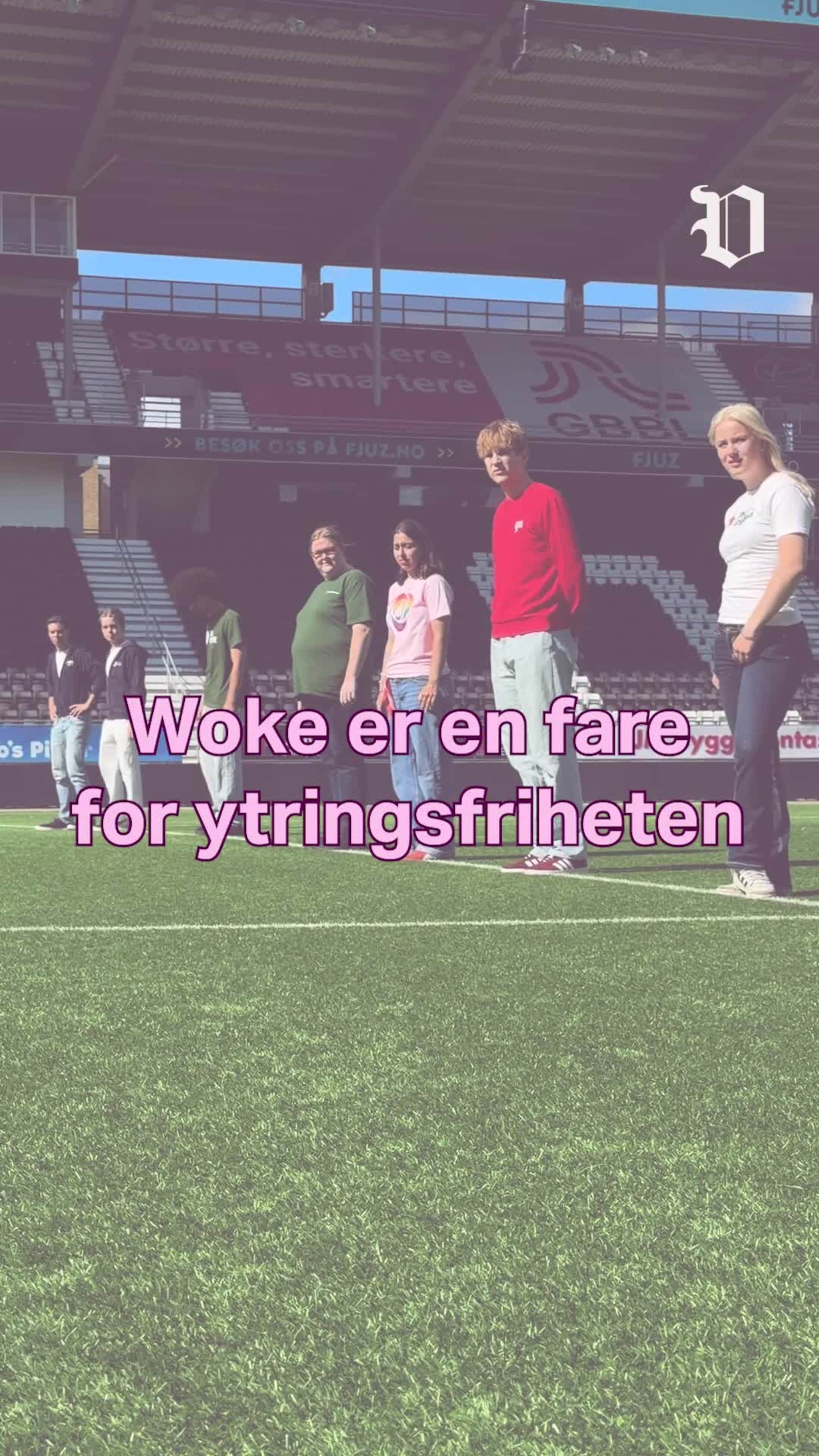 Hva mener ungdomspolitikerne?