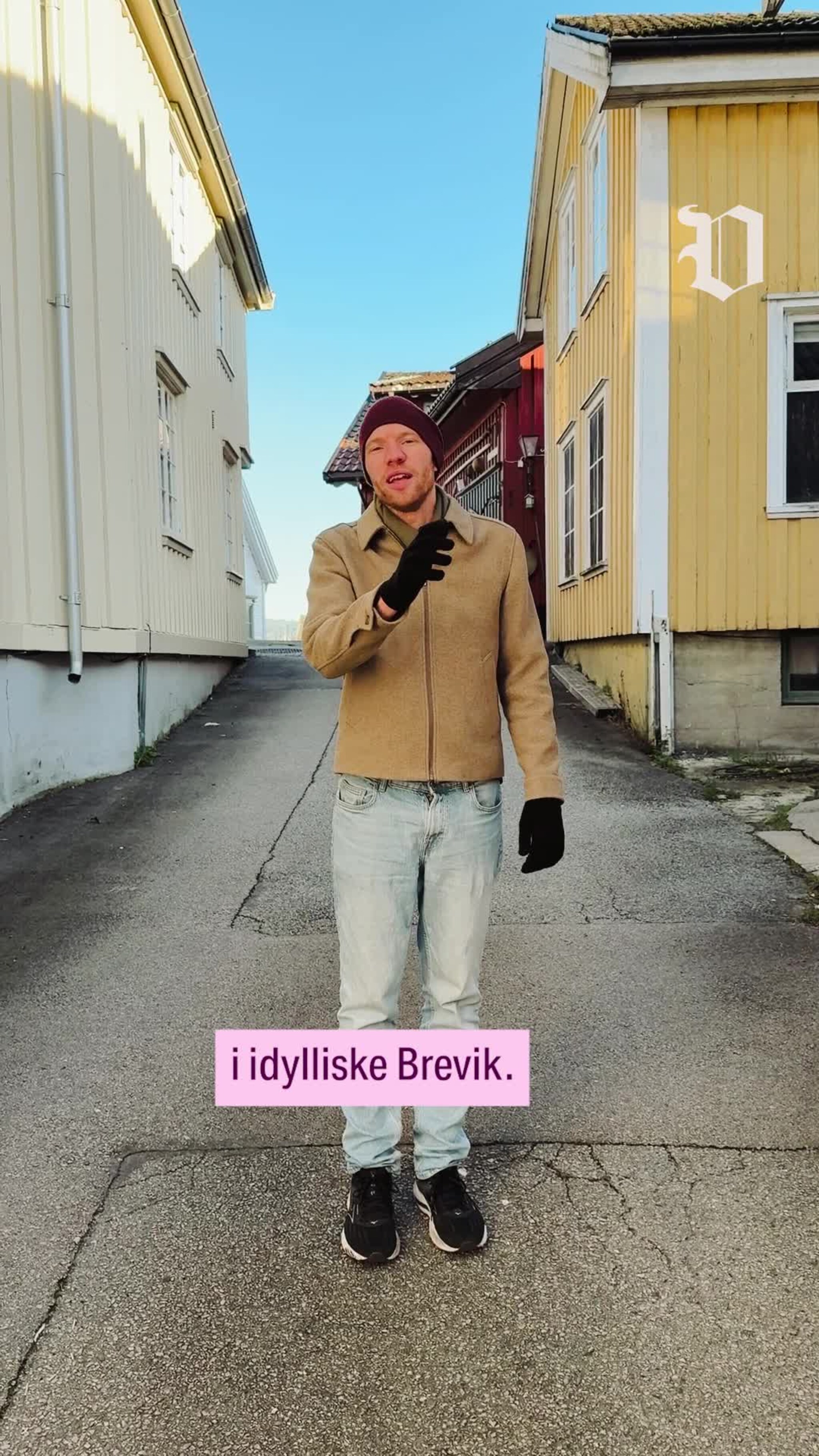 Arkiktekturtilsynet Brevik