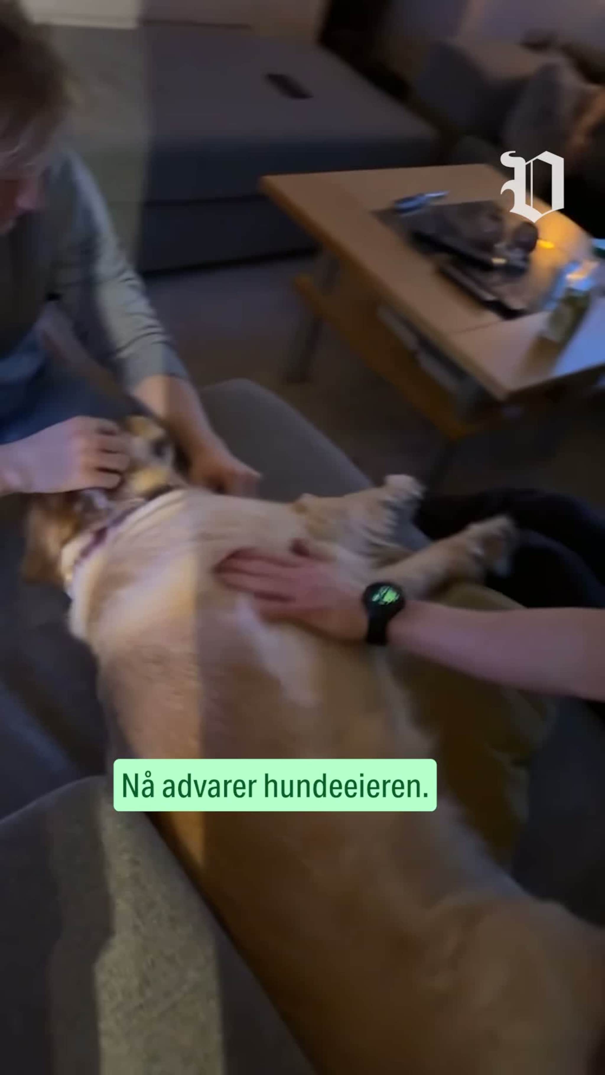 Hunden ble plutselig slapp og fjern
