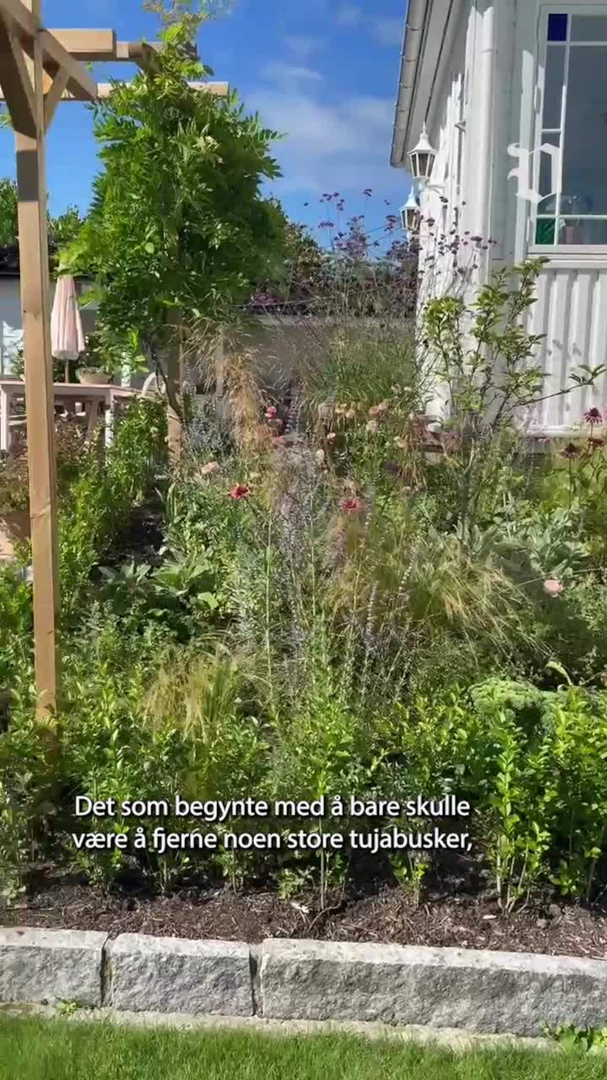 Hagen til Eirik vekker oppsikt