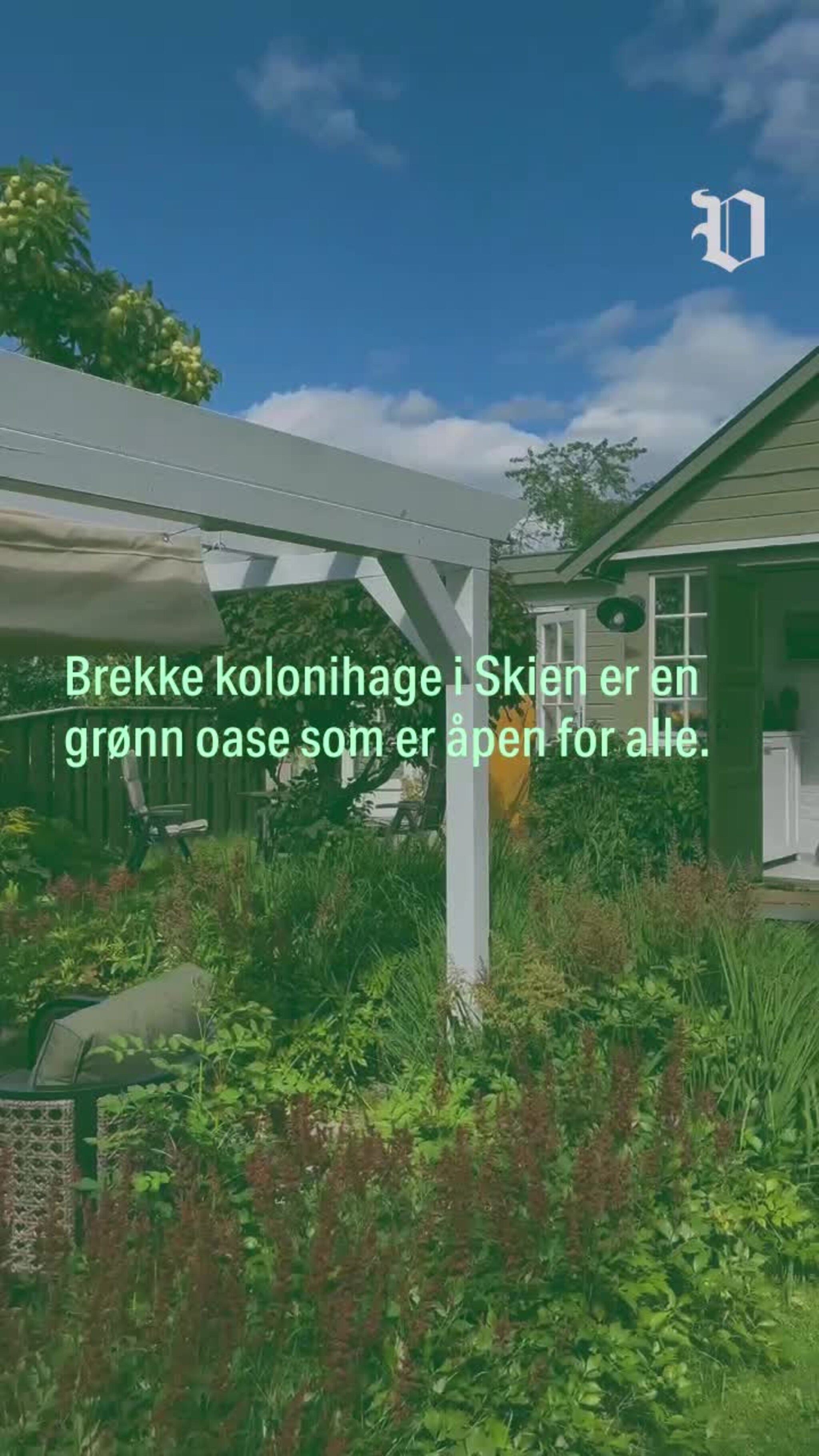Åpen dag i kolonihagen