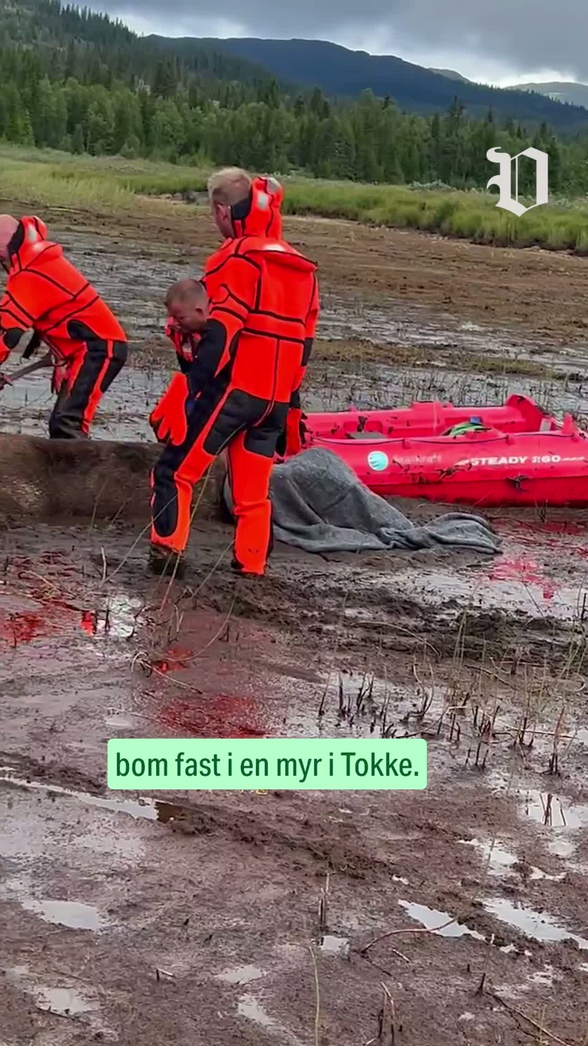 Reddet elg opp fra myr