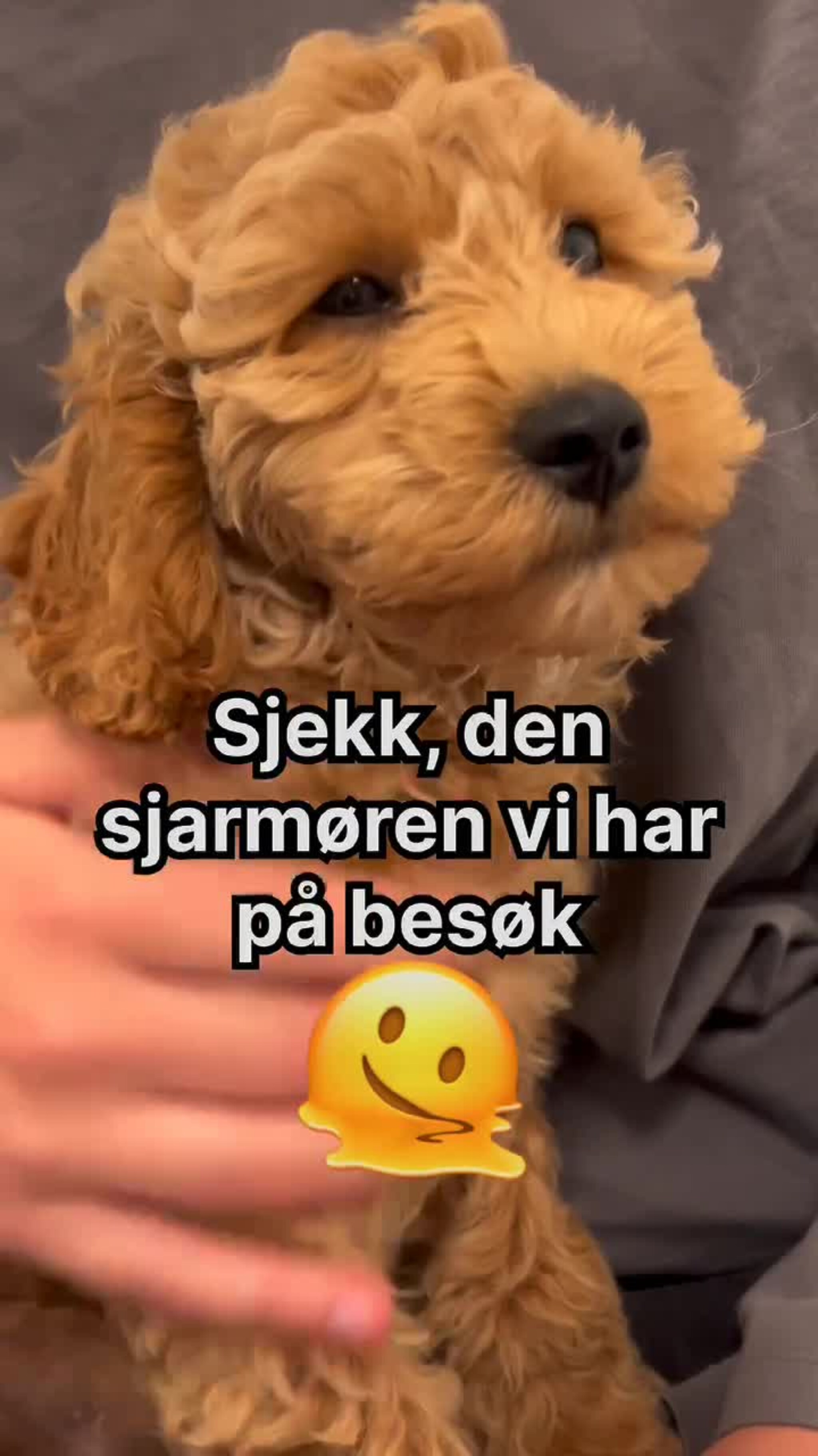 "Alle blir jo i godt humør av deg"
