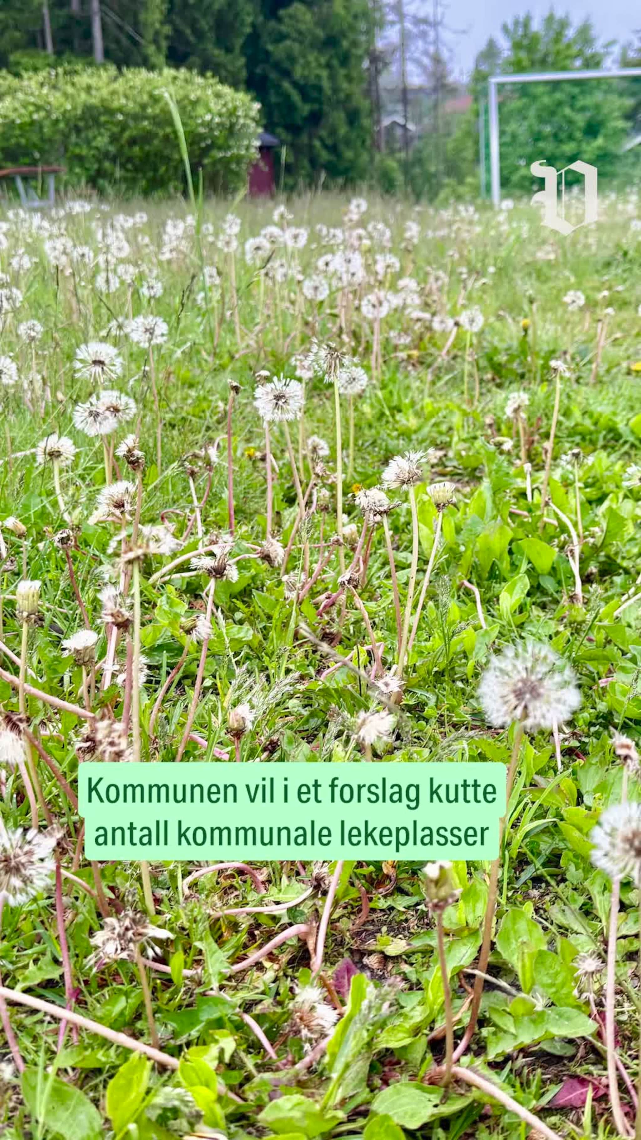 50 lekeplasser i Skien kan forsvinne