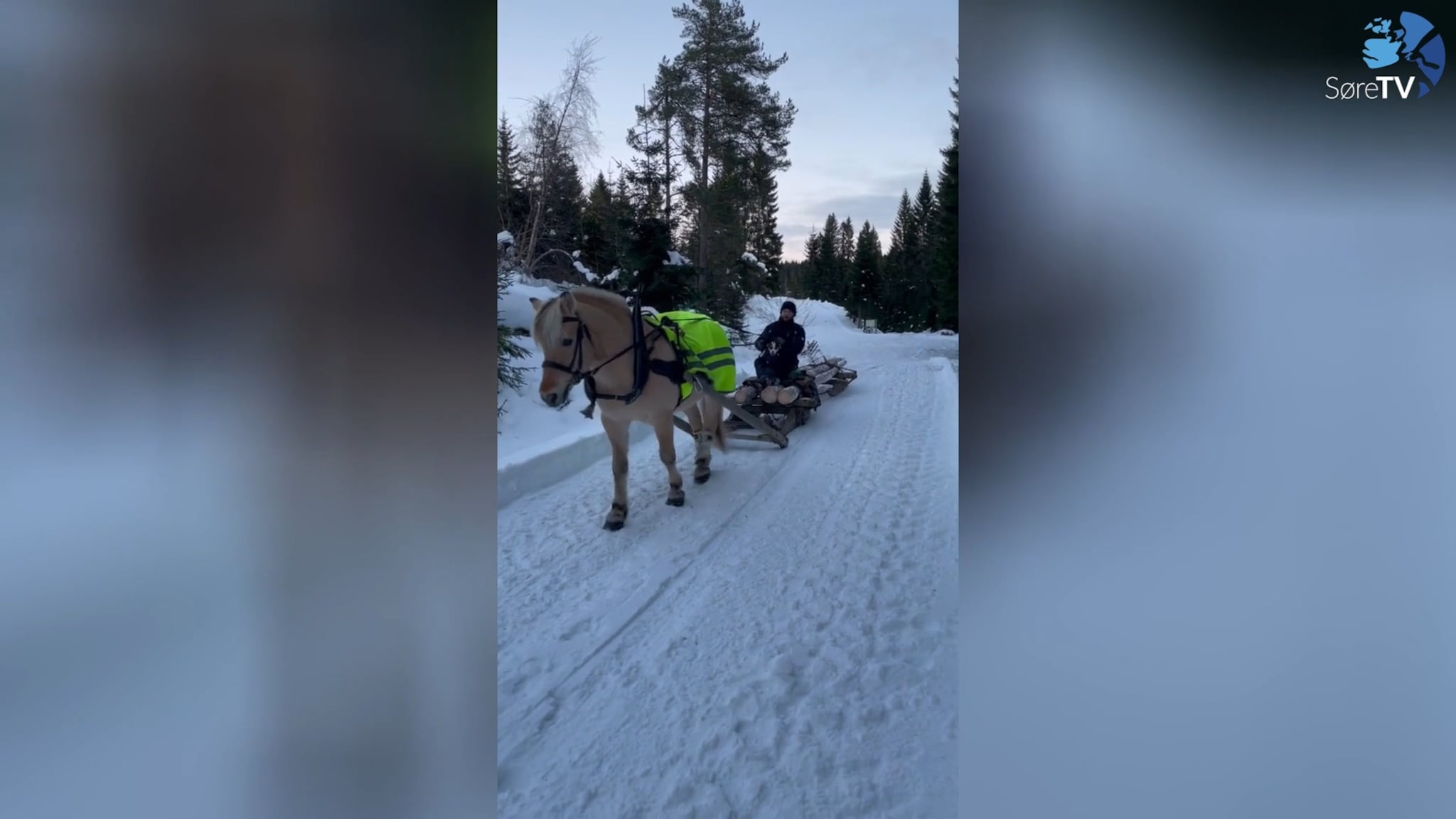 Tømmertransport på "gamlemåten"