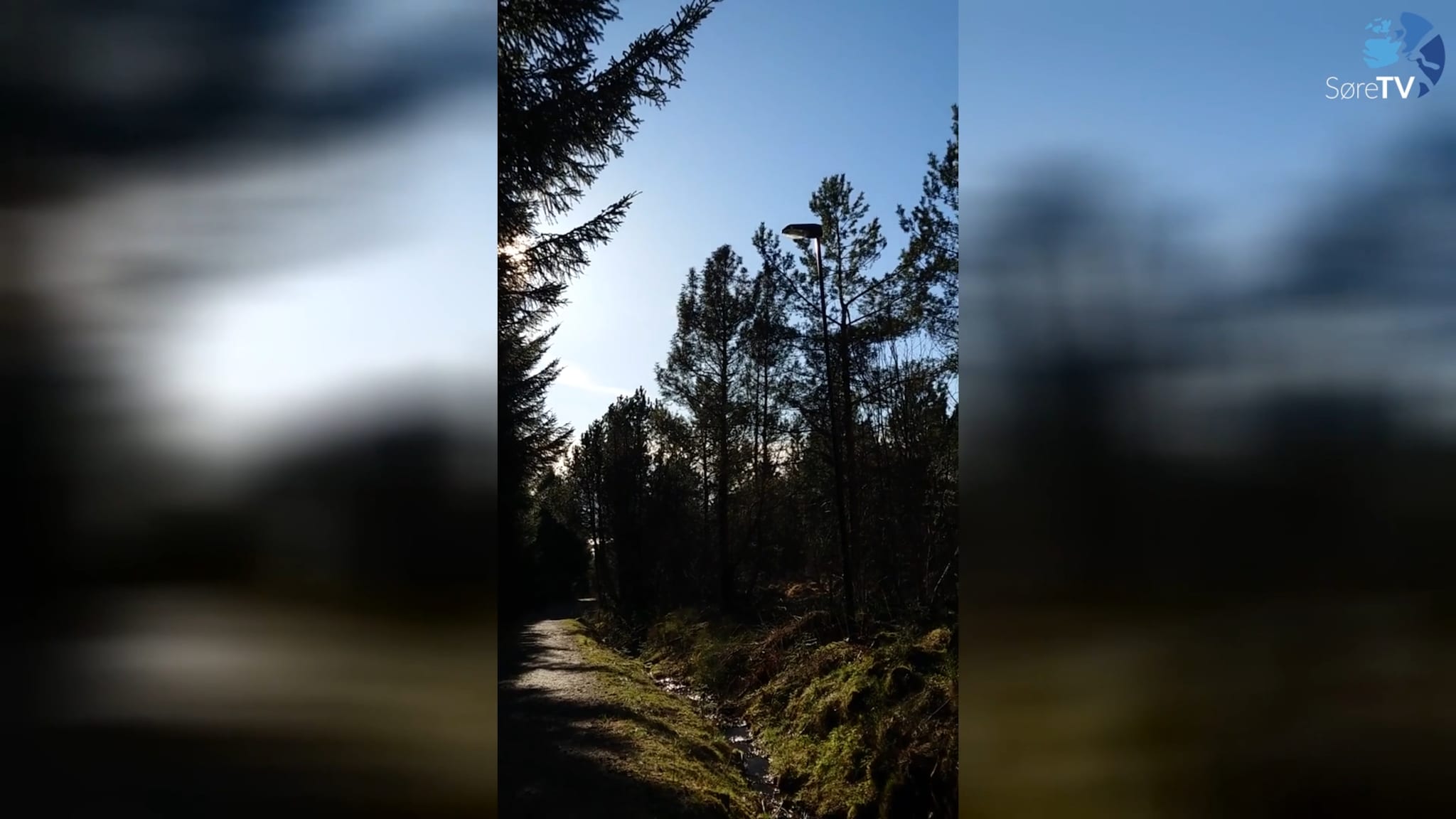 Å gå tur inn i naturen