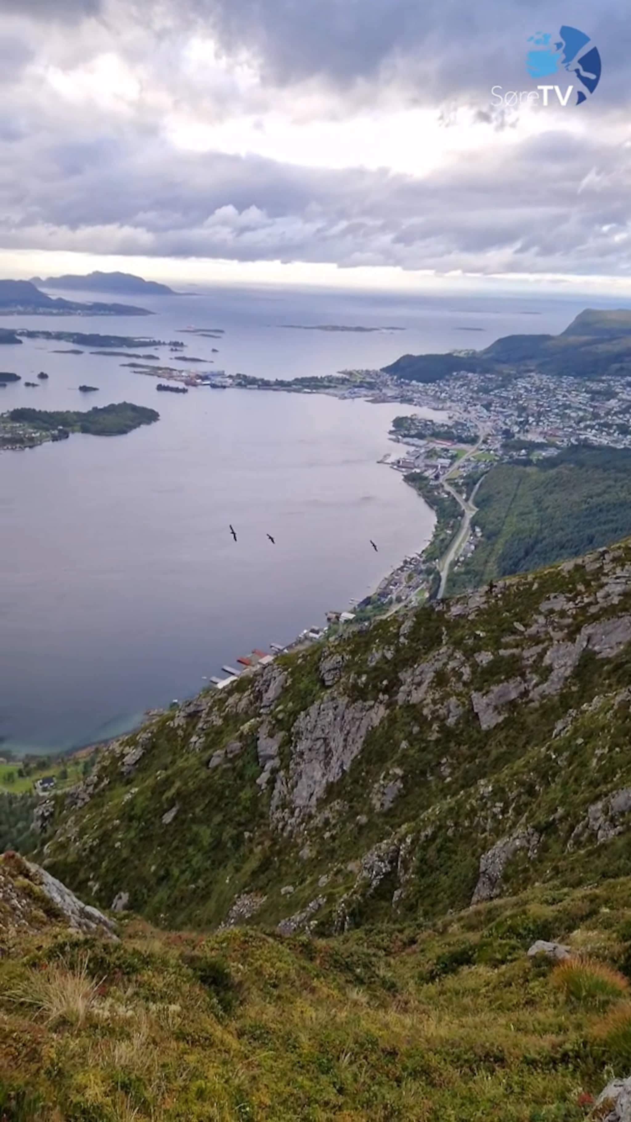 På jakt etter noko godt