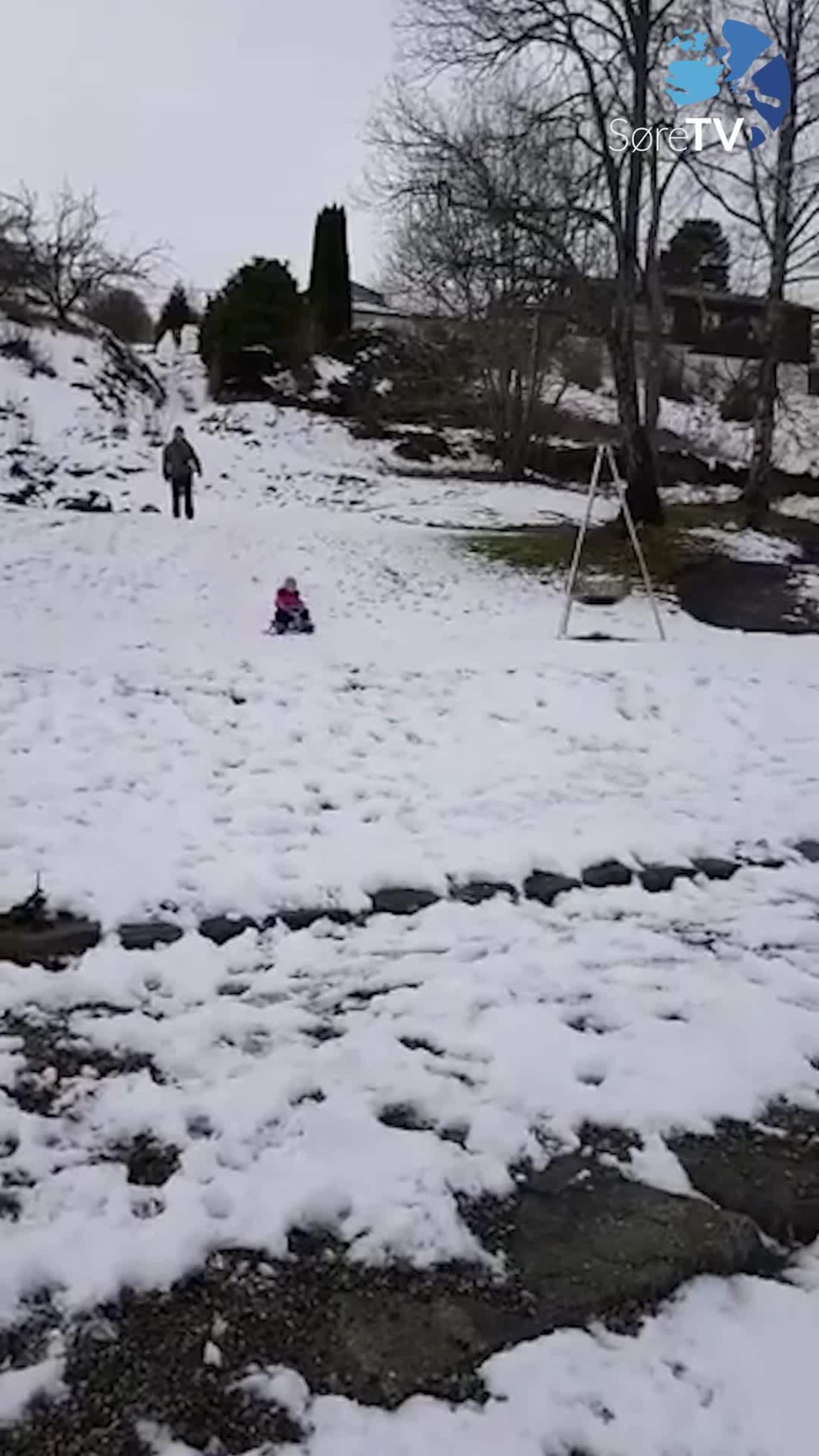 Her akar ho frå fjell til fjord