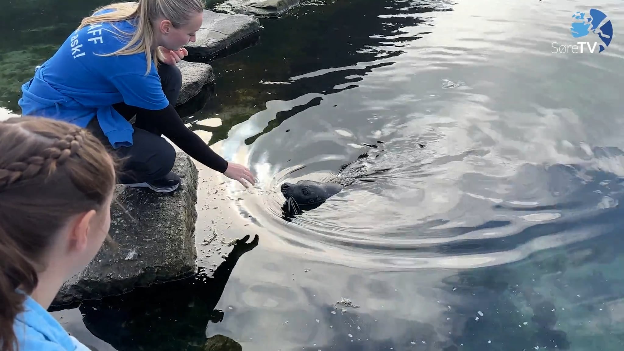 Bli med på ein dag som akvarist