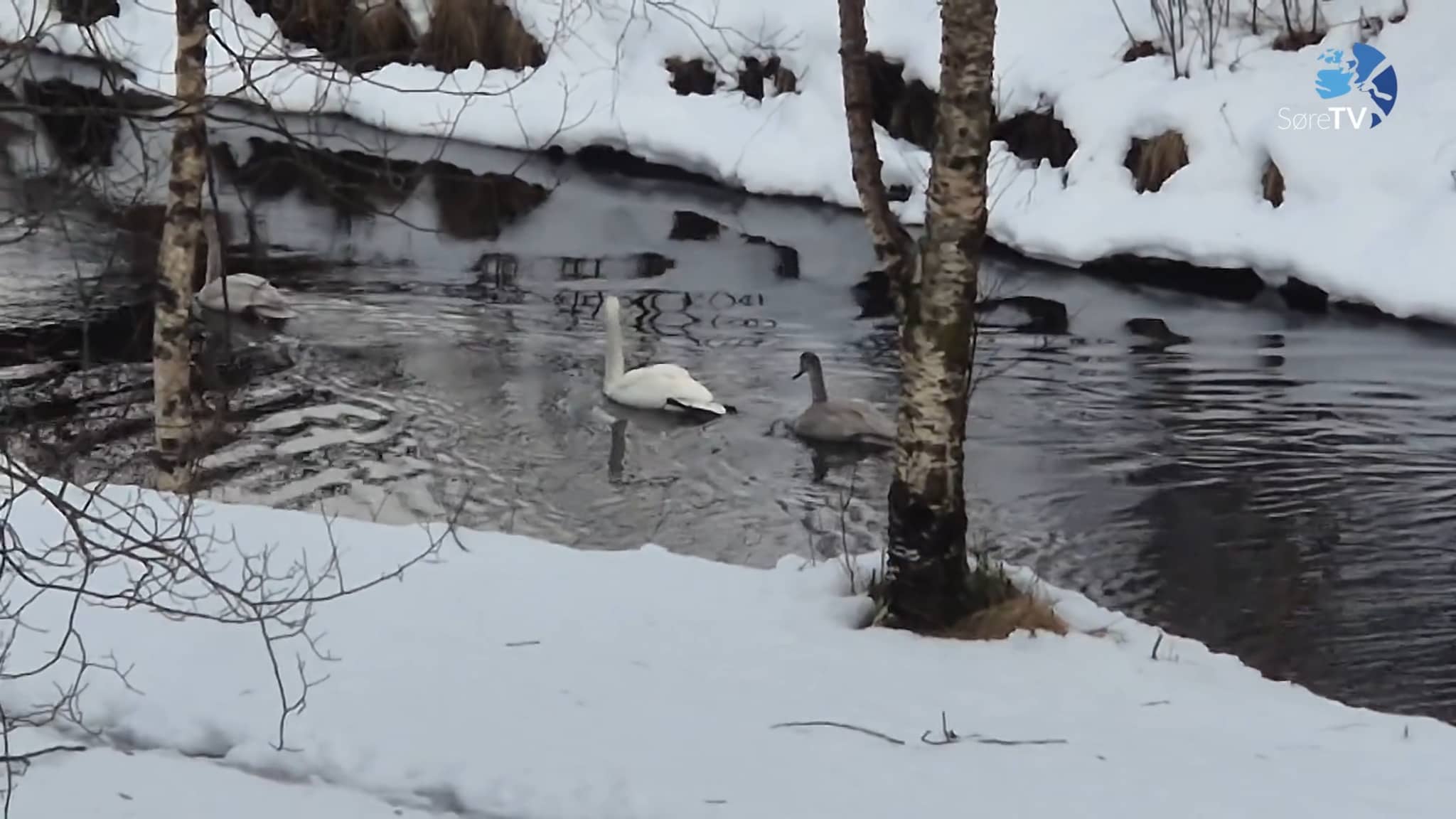 Har god utsikt frå sofaen