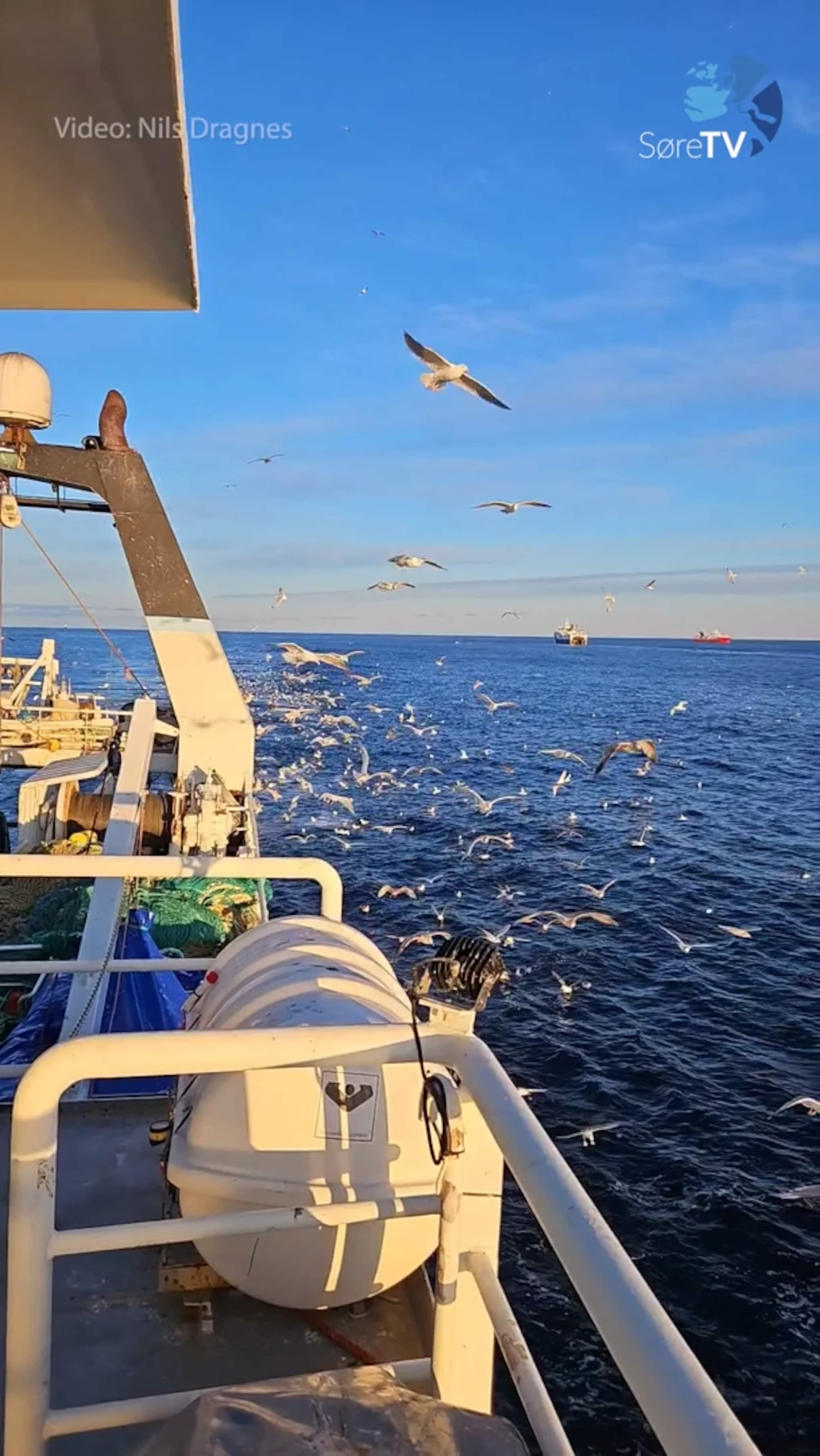 Det er fine dagar på Mørekysten