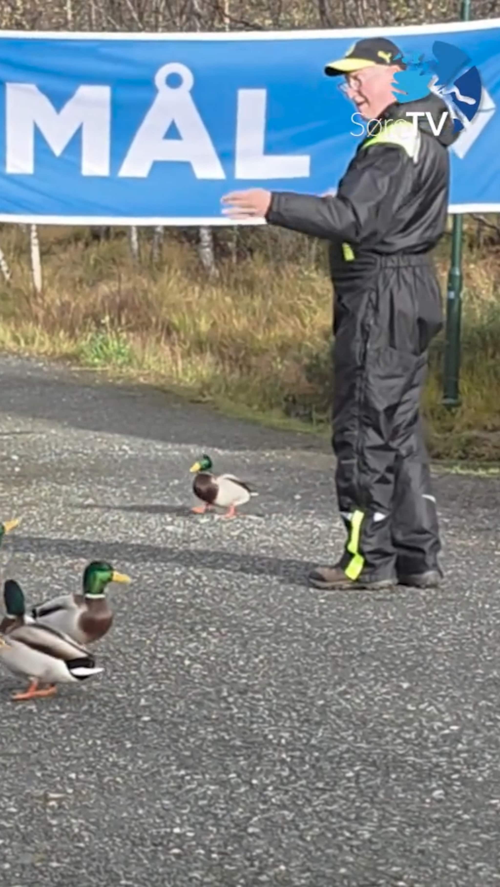 Får endene til å møtast