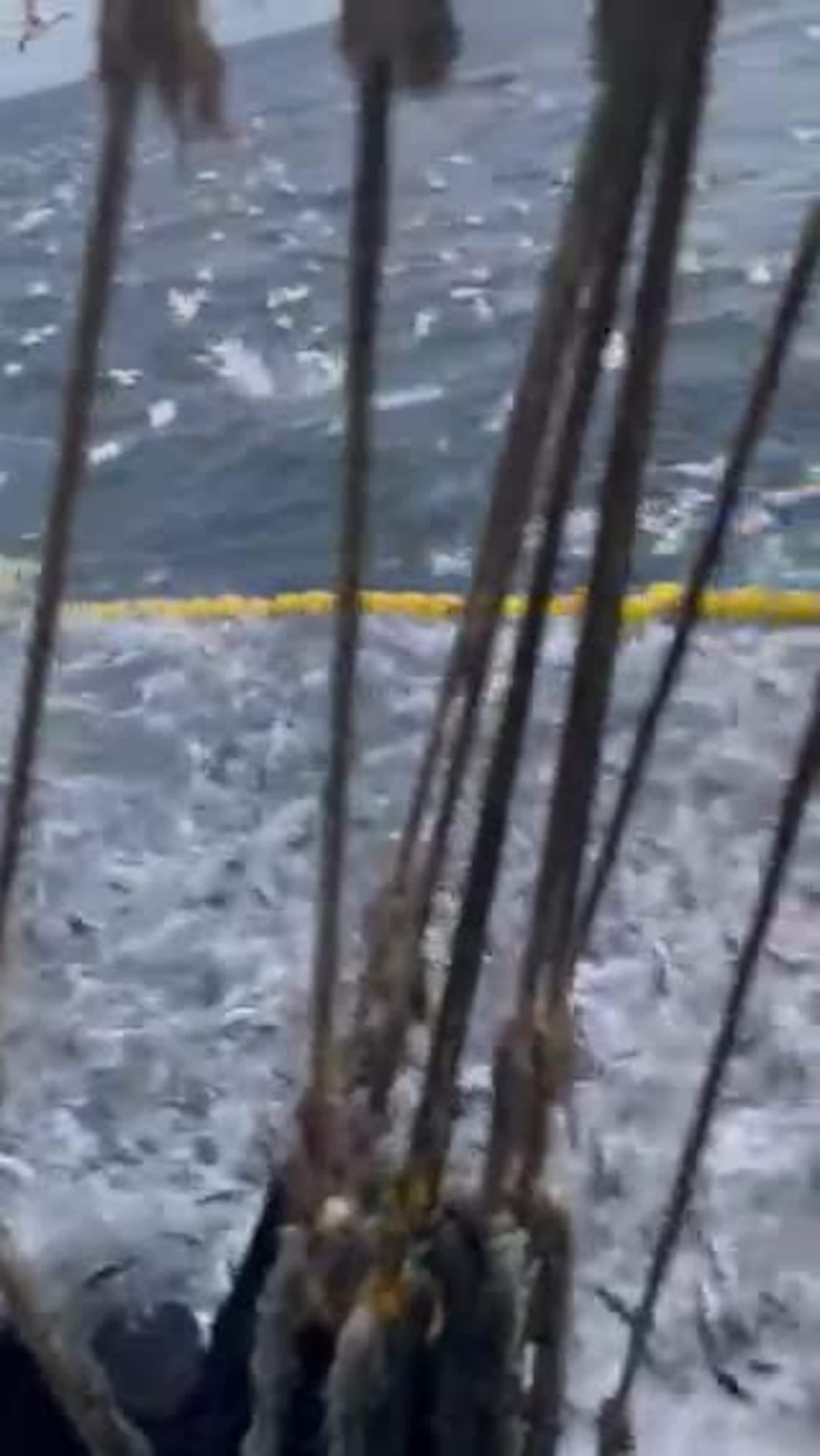 Rekordfangst for Herøyhav