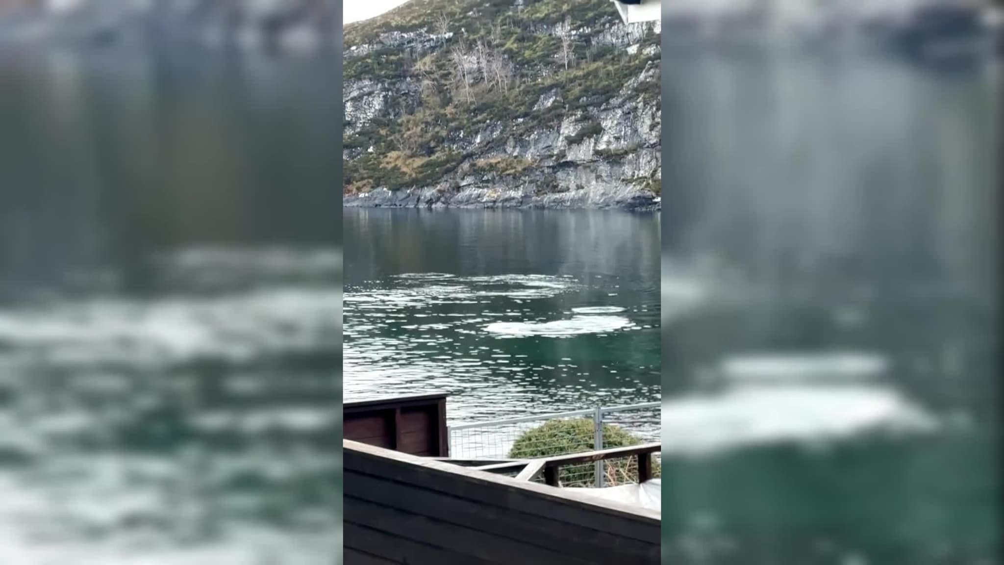 Var på trilletur – så dukka det opp noko uventa