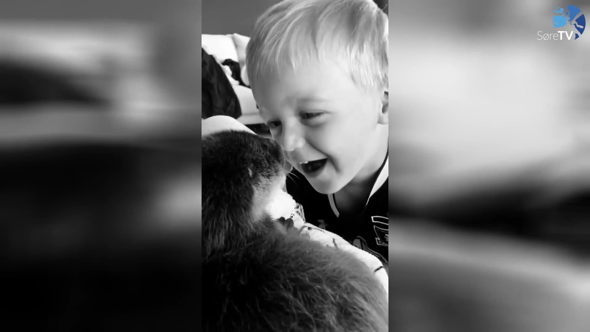 Kos med oterbabyen