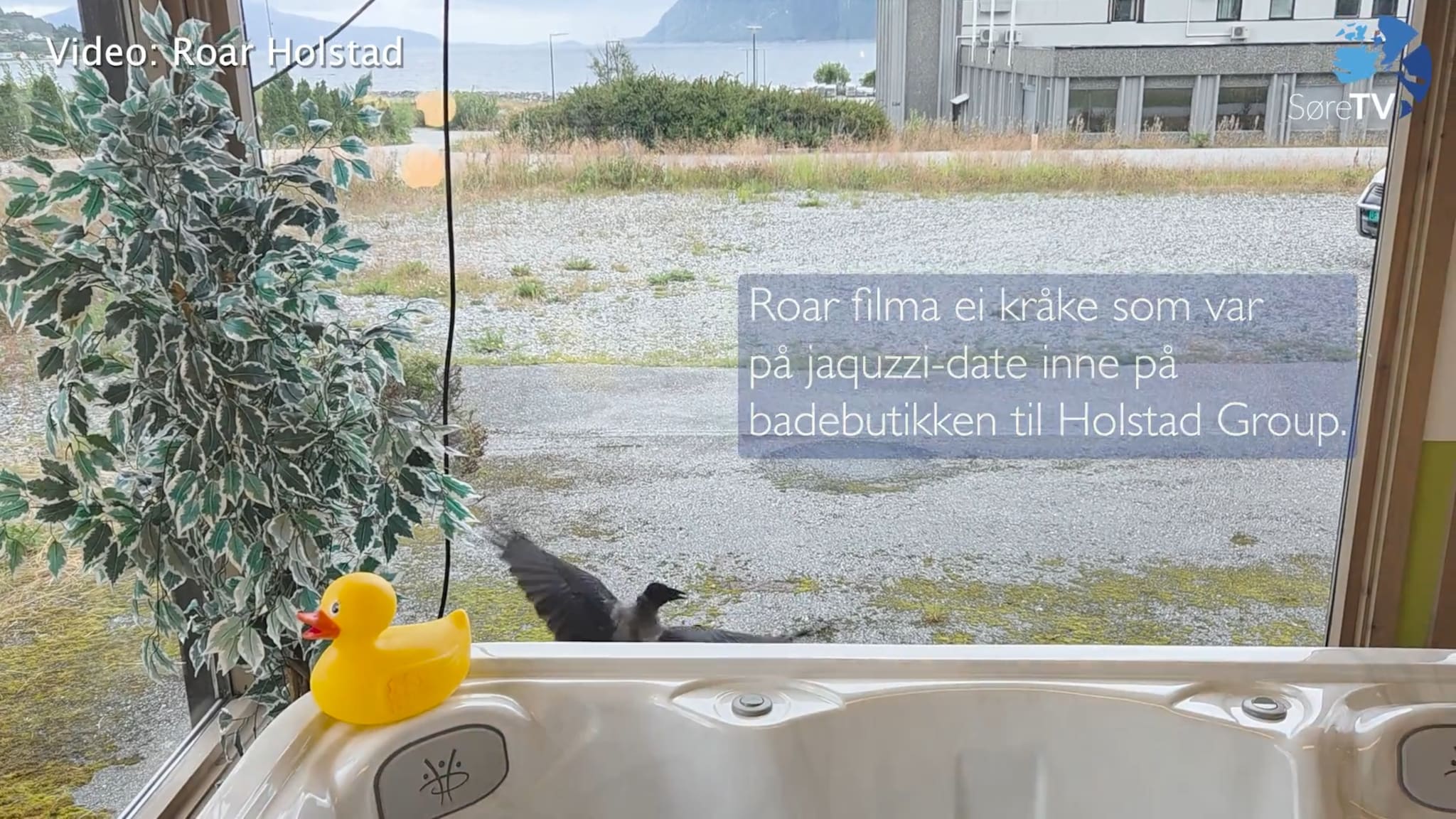 Ho drog med uforretta sak