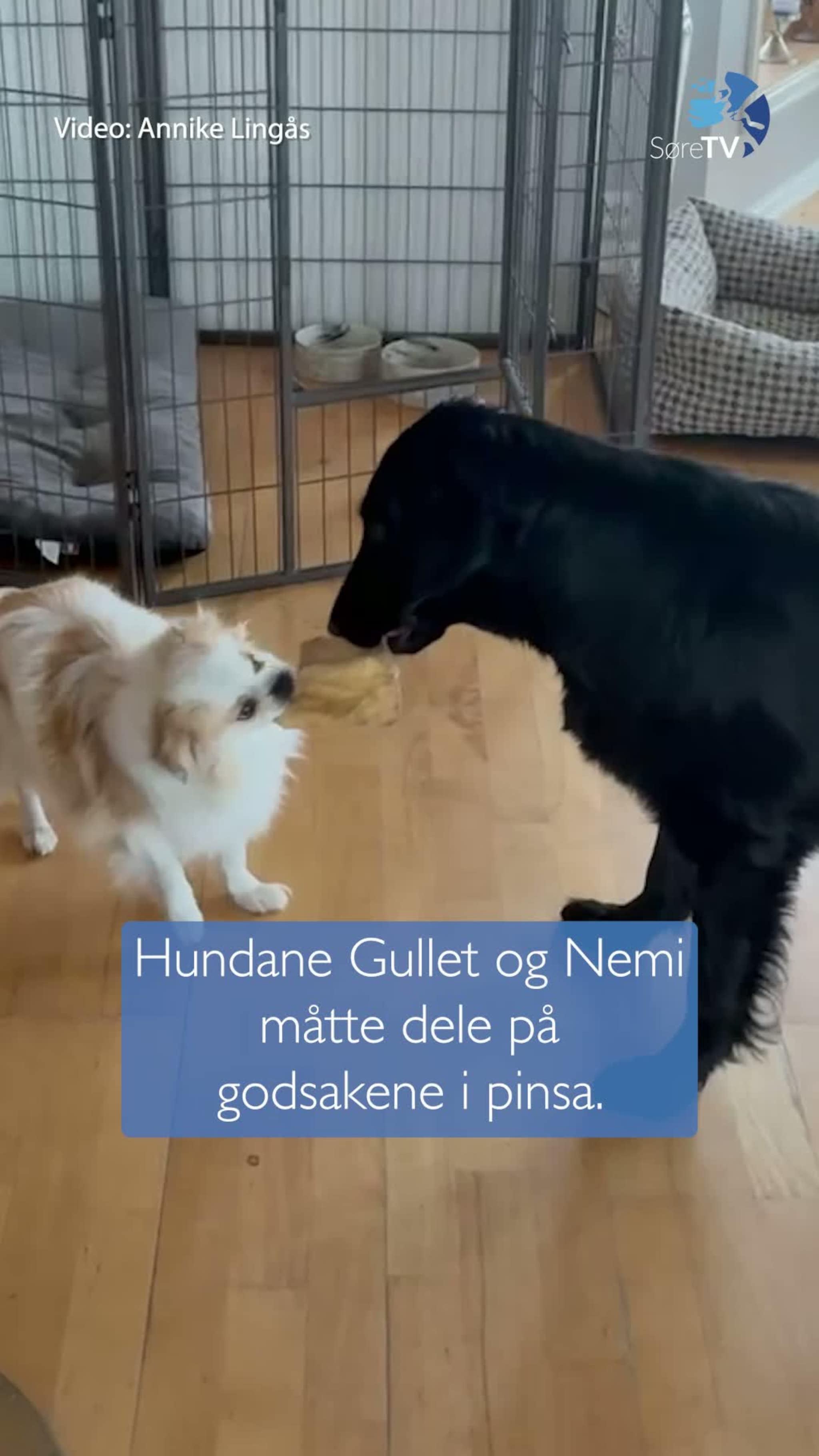 Måtte dele på godsakene