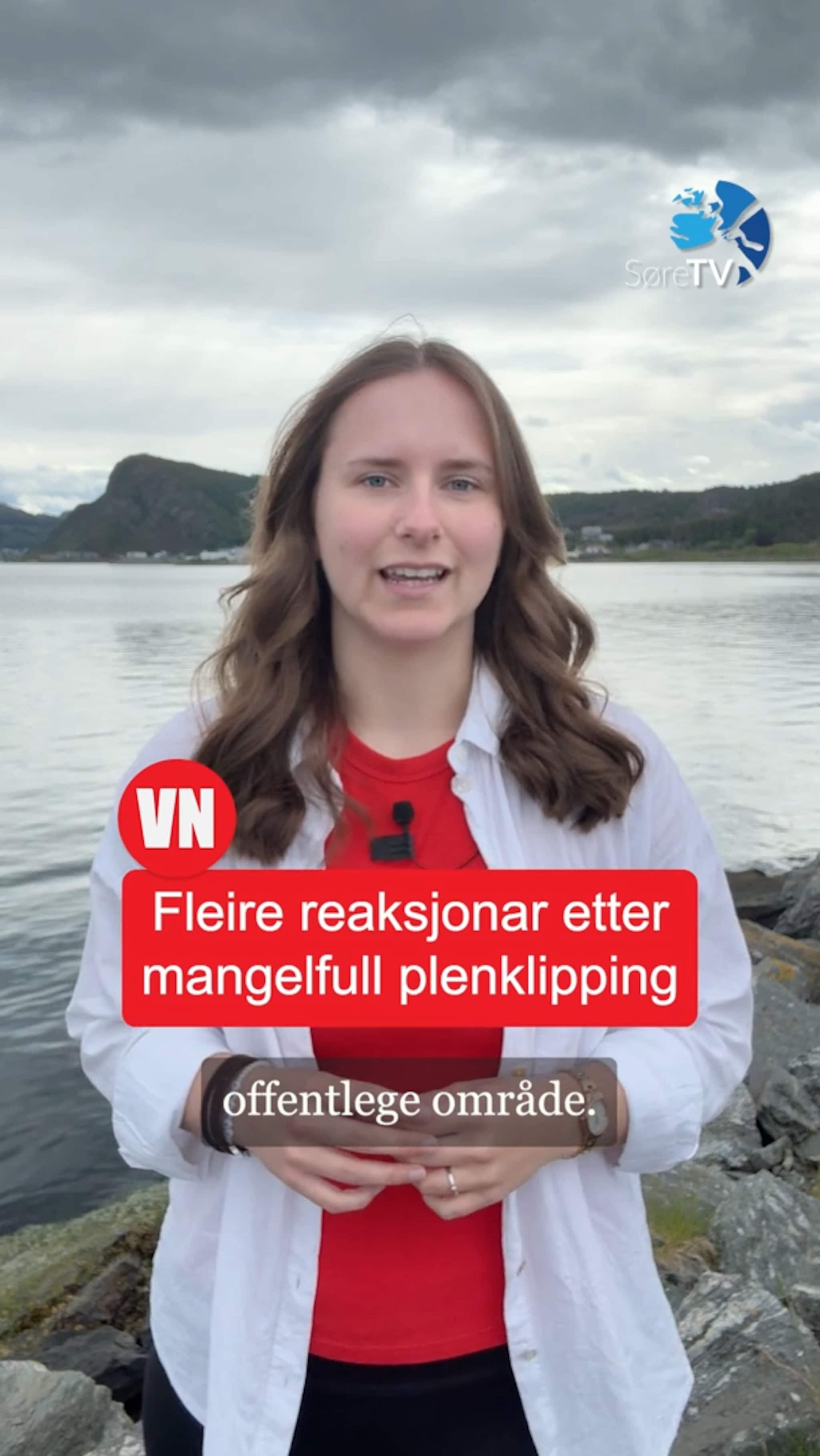 Fargerikt veggmåleri, plenklipping og fastlege