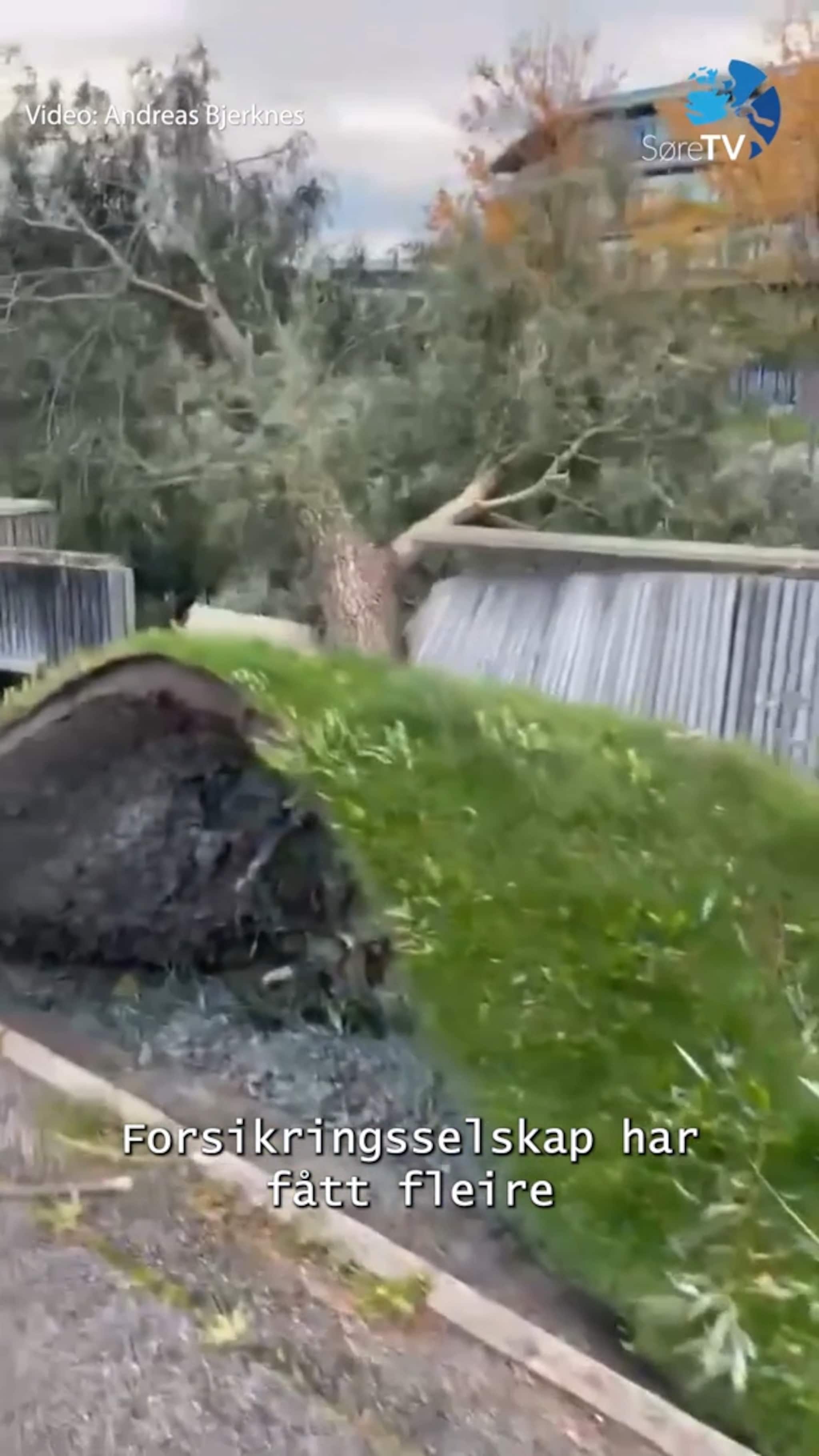 Sjå korleis uvêret Amy herja på Søre Sunnmøre