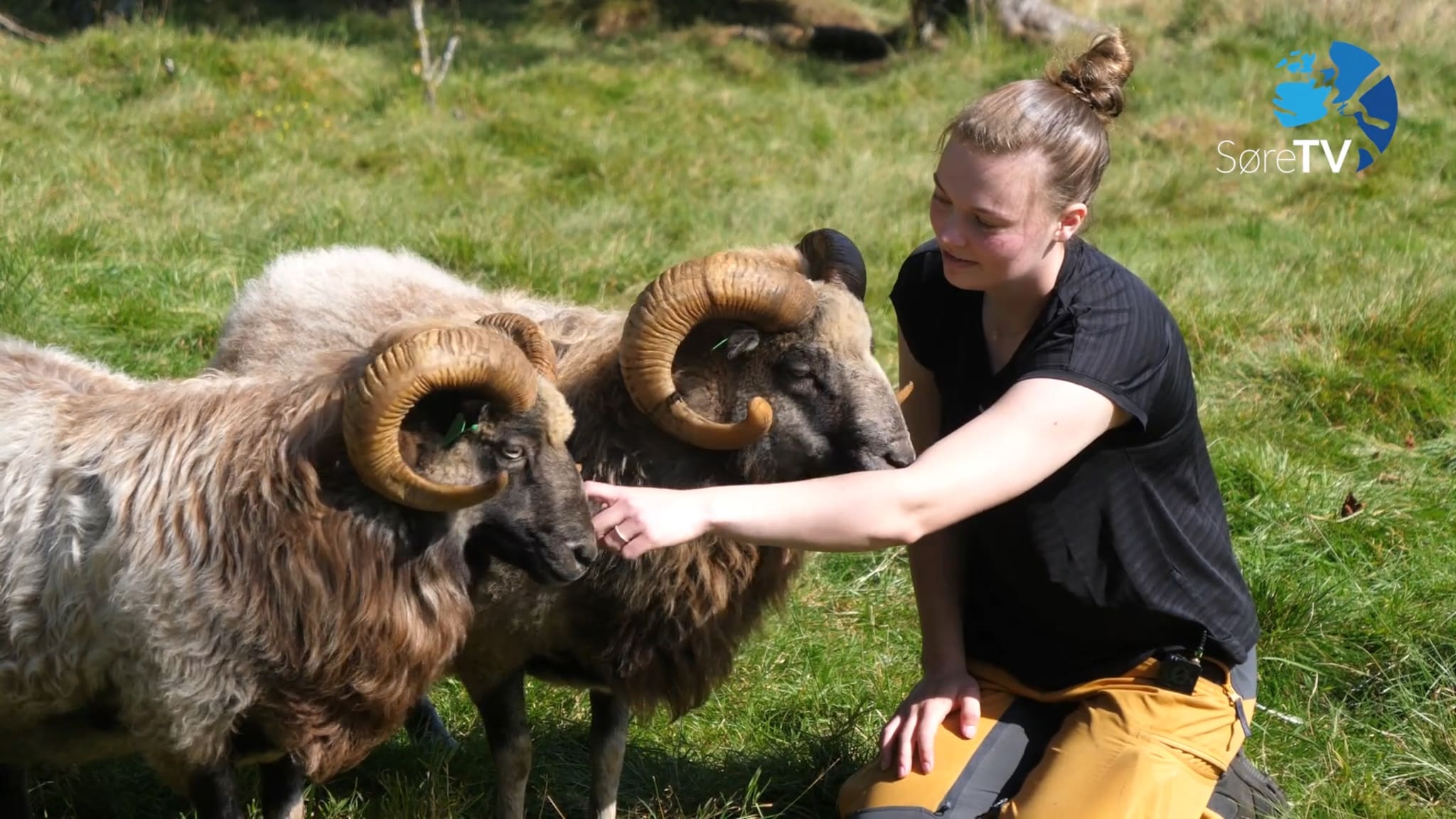 – Det hadde ikkje blitt nokon gard utan familien