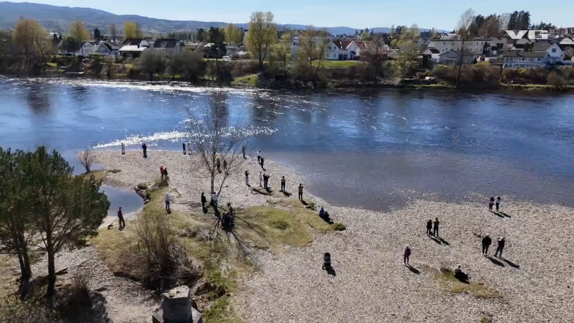 VG leter etter hvithvalen