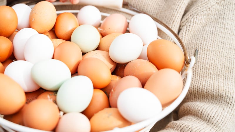 Eggskandalen: – Ber om unnskyldning