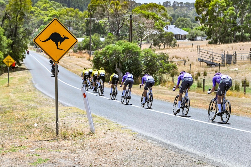 Dansk sykkelstjerne krasjet med kenguru – pådro seg brudd i hånden