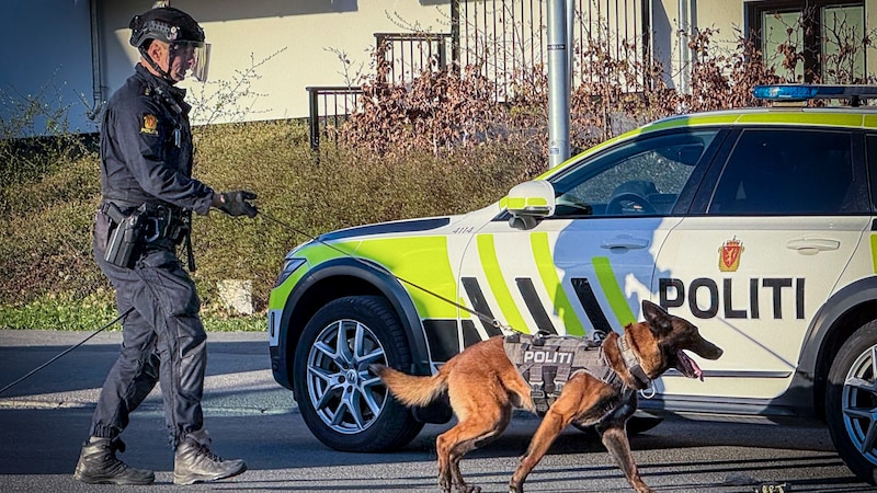 Kvinne i 30-årene siktet for drapsforsøk etter angrep med våpen i Oslo-leilighet